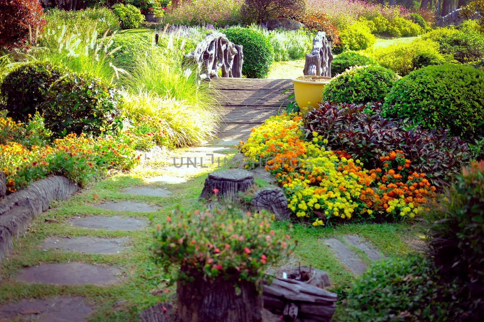 bridge footbridge in flower garden park
