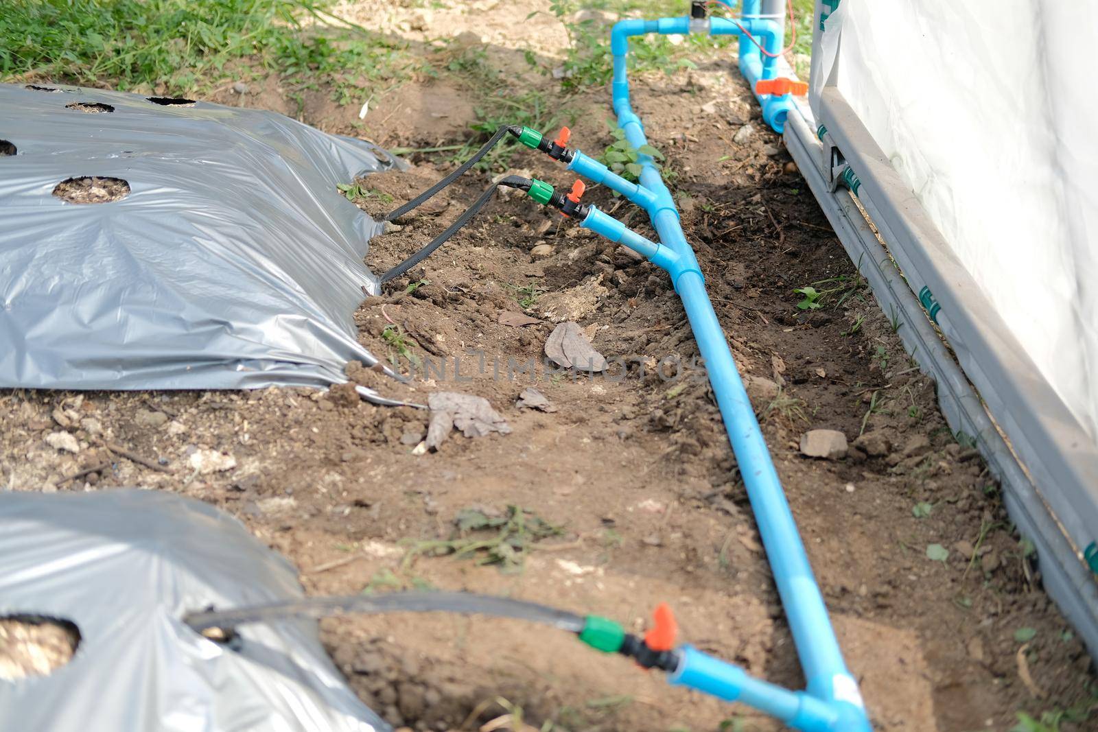 drip water irrigation system for growing plant