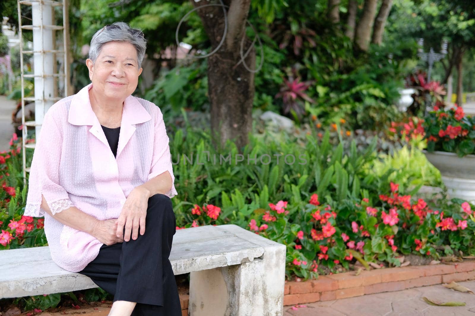 asian old elderly elder woman resting relaxing in garden. senior leisure lifestyle