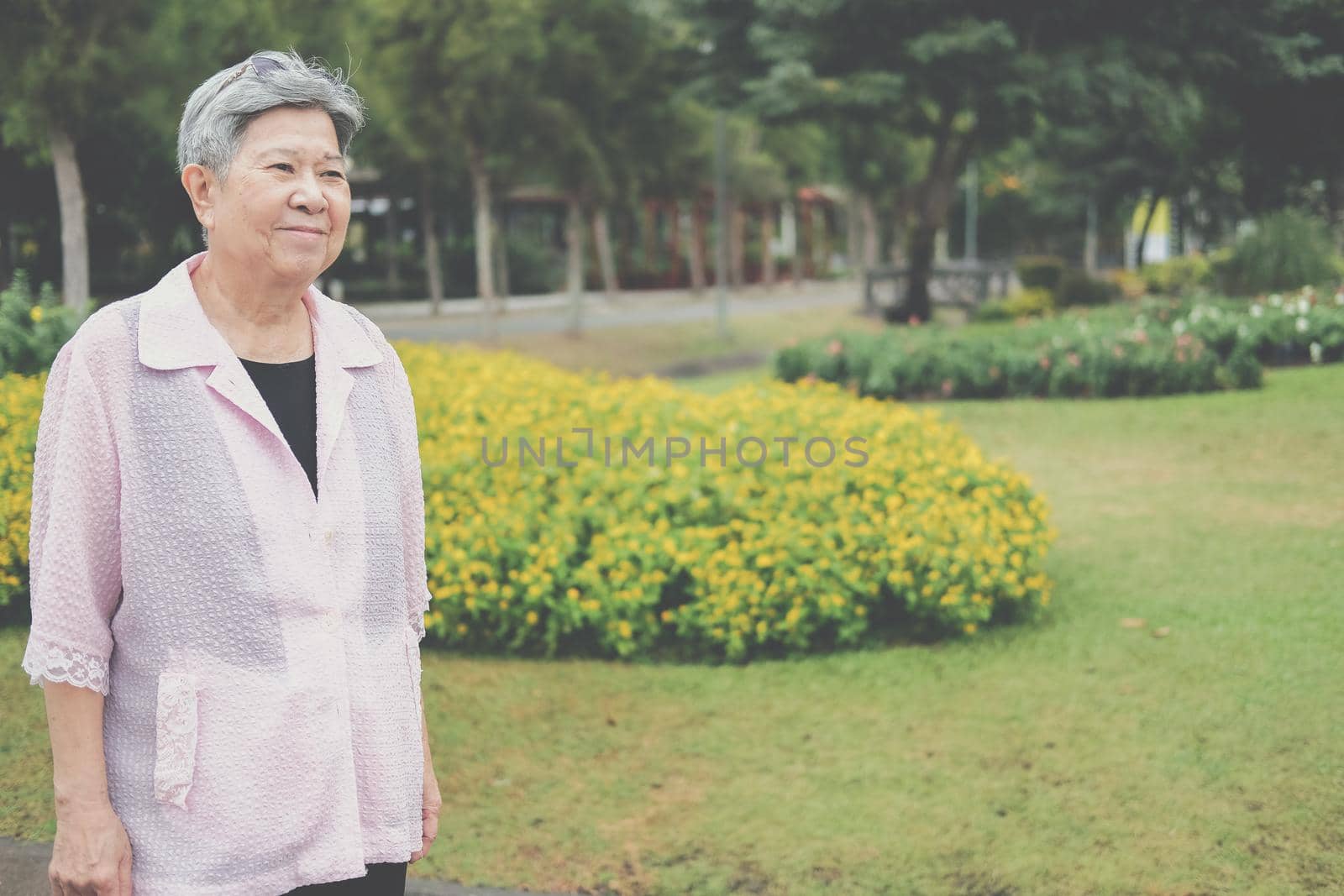 asian old elderly elder woman resting relaxing in garden. senior leisure lifestyle