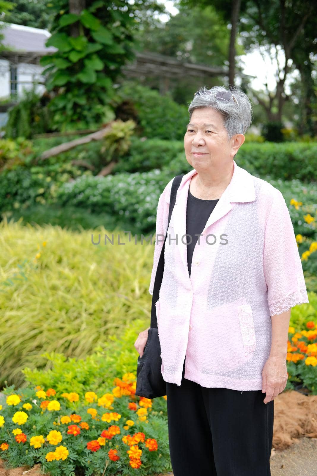 asian old elderly elder woman resting relaxing in garden. senior leisure lifestyle
