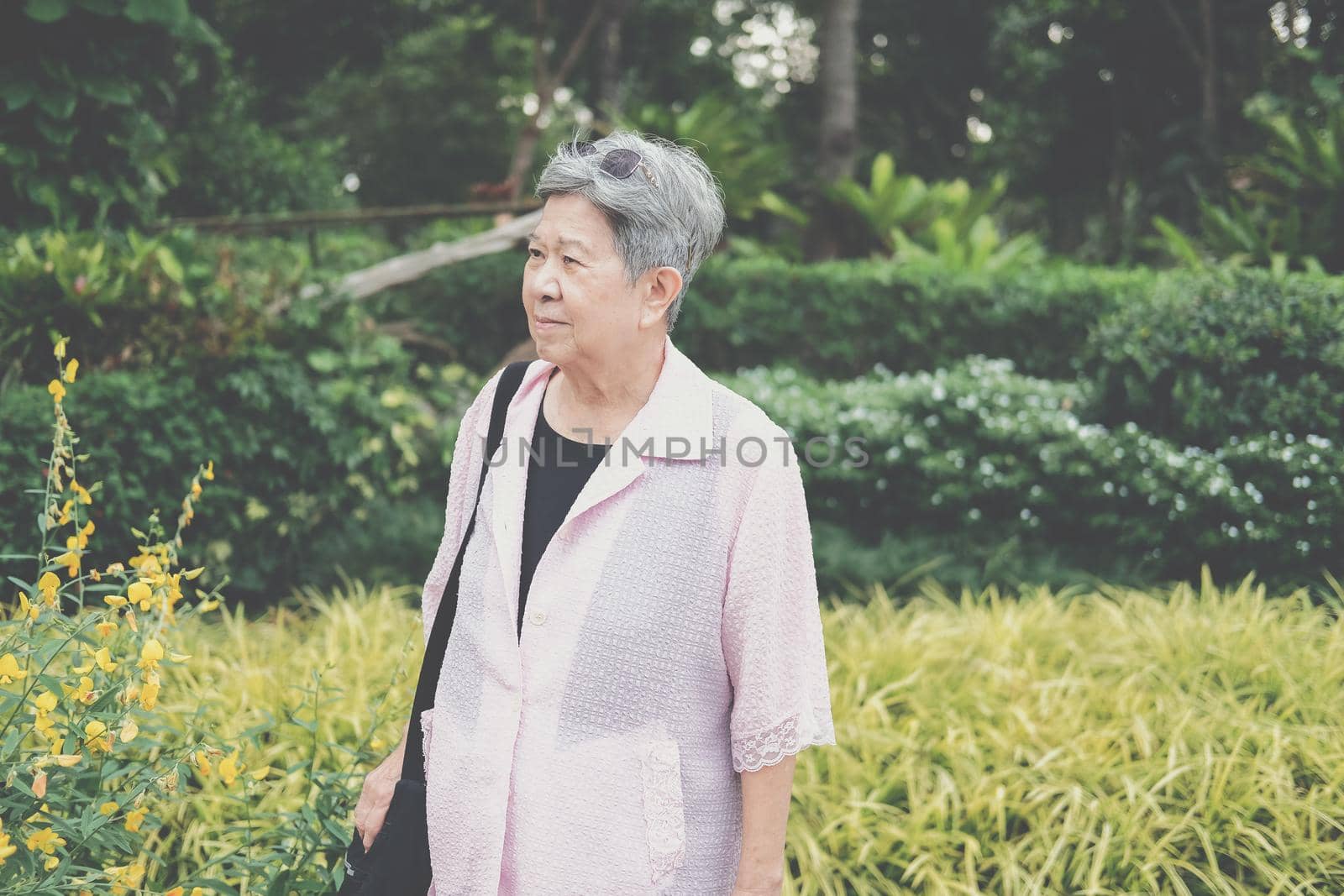 asian old elderly elder woman resting relaxing in garden. senior leisure lifestyle