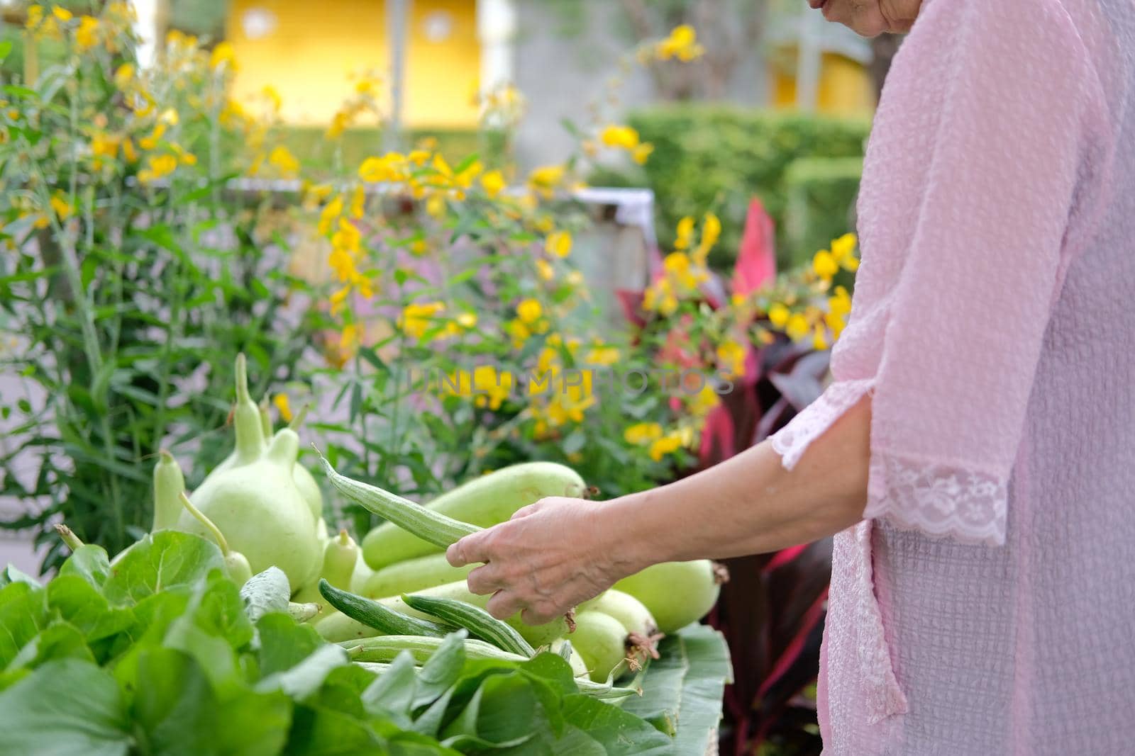 asian old elderly elder woman buying vegetable in market. senior lifestyle