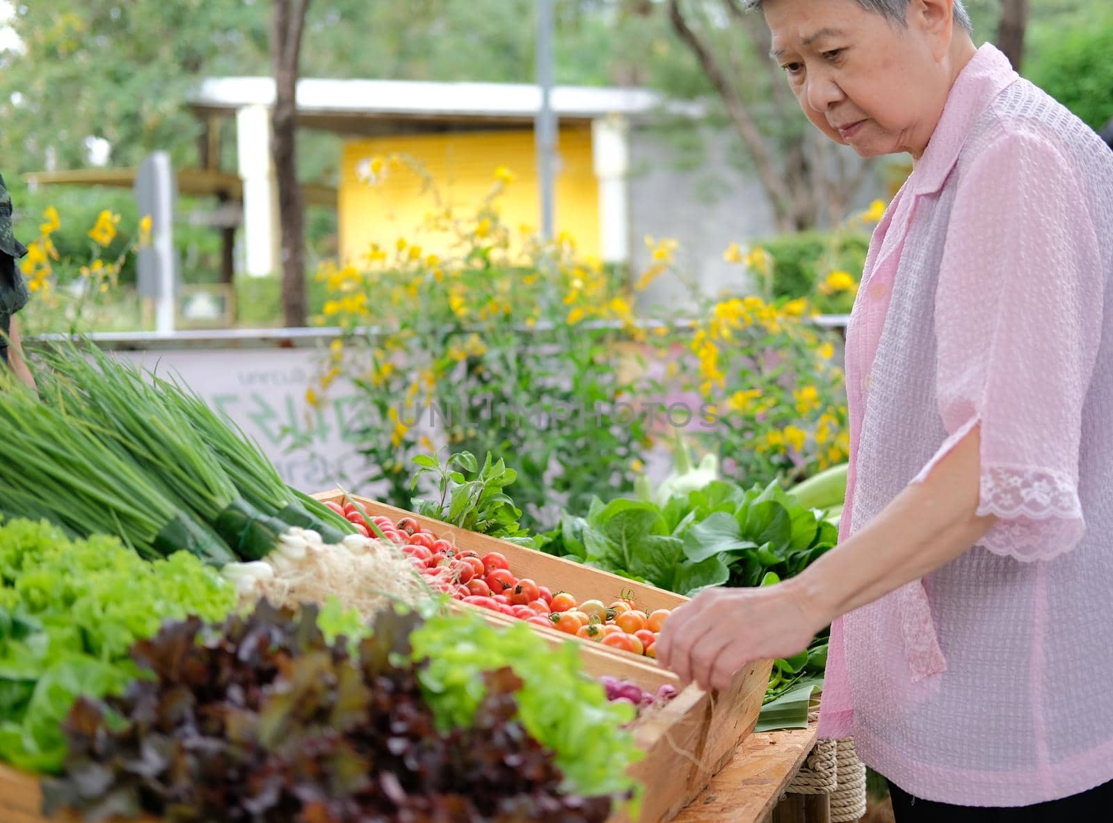 asian old elderly elder woman buying vegetable in market. senior lifestyle