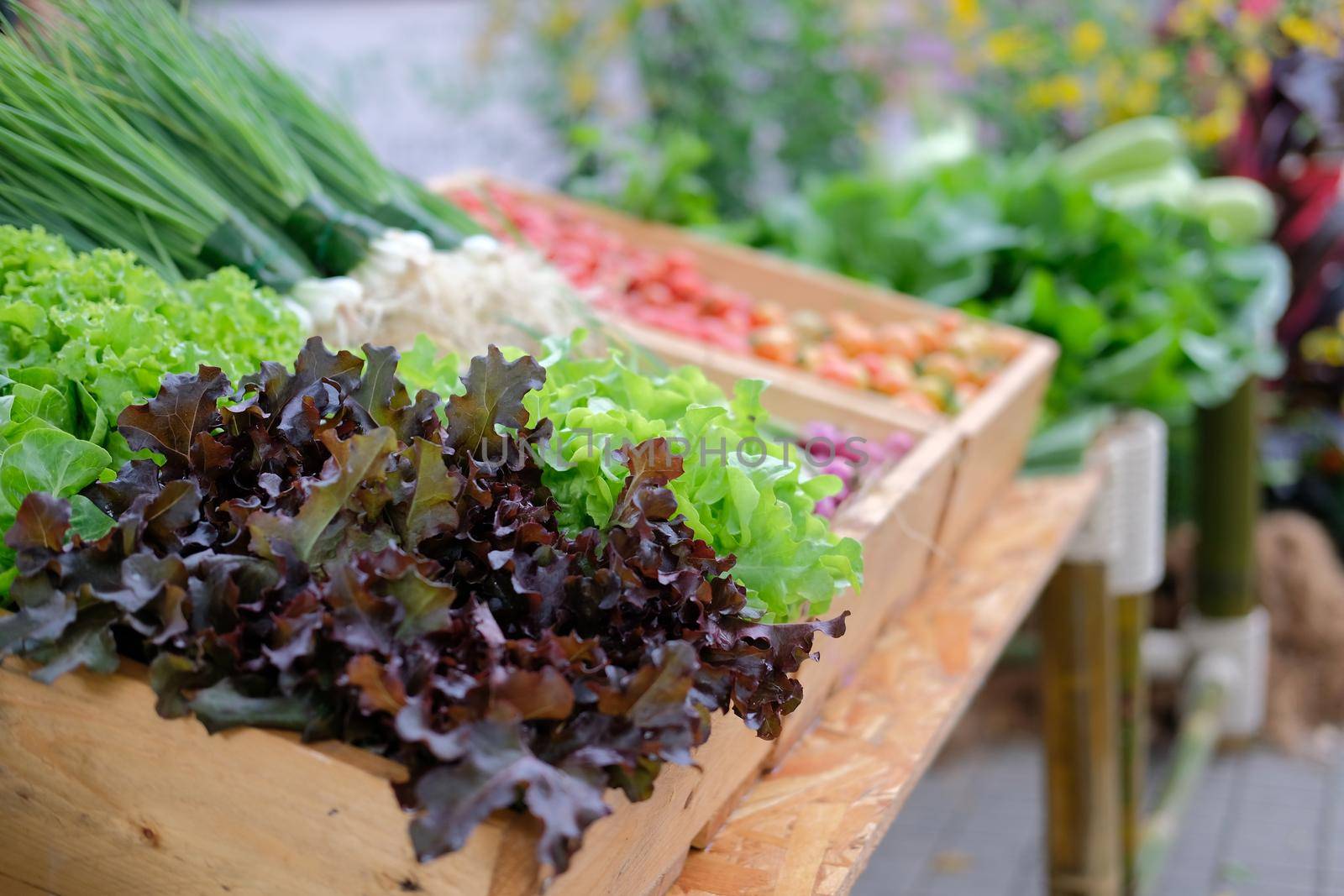 vegetable for sale in grocery store market