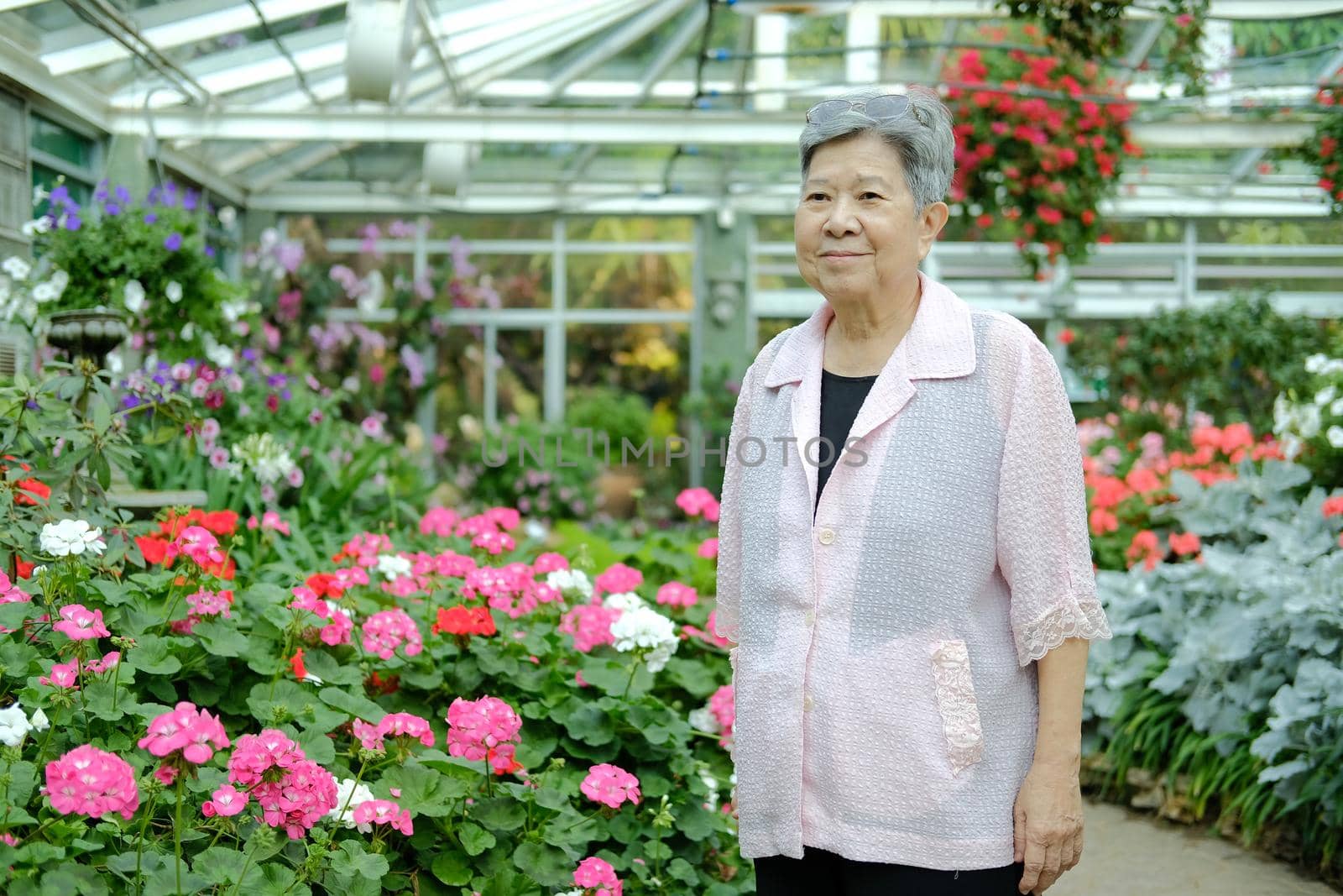 asian old elderly elder woman resting relaxing in garden. senior leisure lifestyle