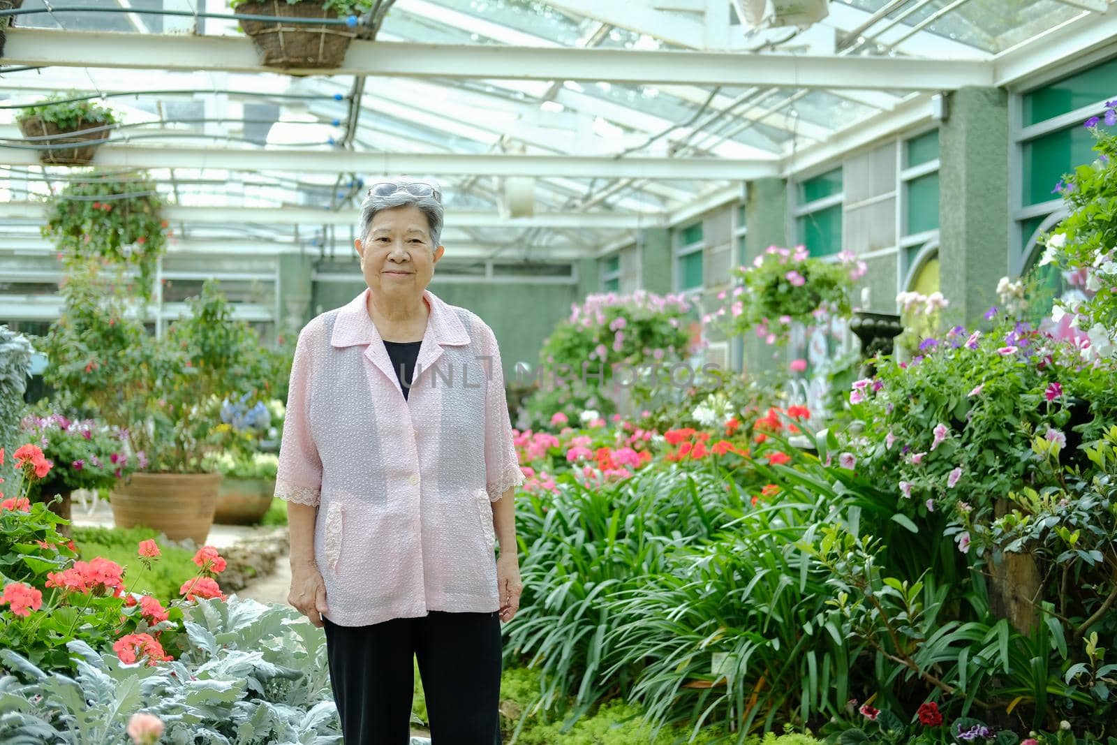 asian old elderly elder woman resting relaxing in garden. senior leisure lifestyle