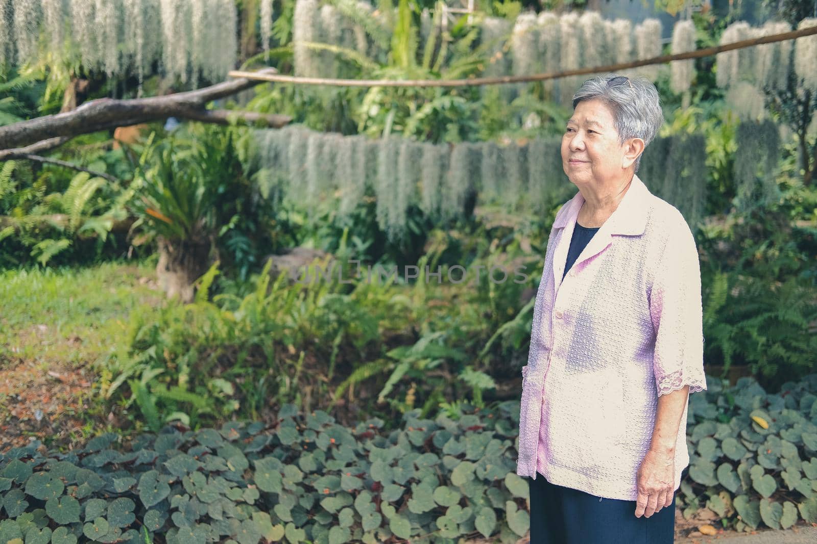 asian old elderly elder woman resting relaxing in garden. senior leisure lifestyle