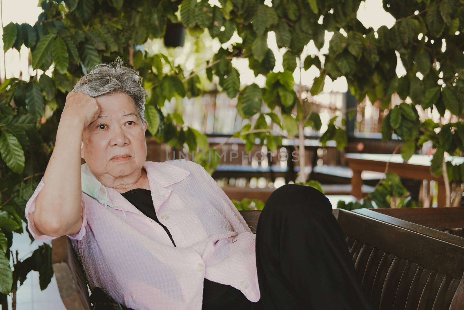 asian old elderly elder woman resting relaxing in garden. senior leisure lifestyle