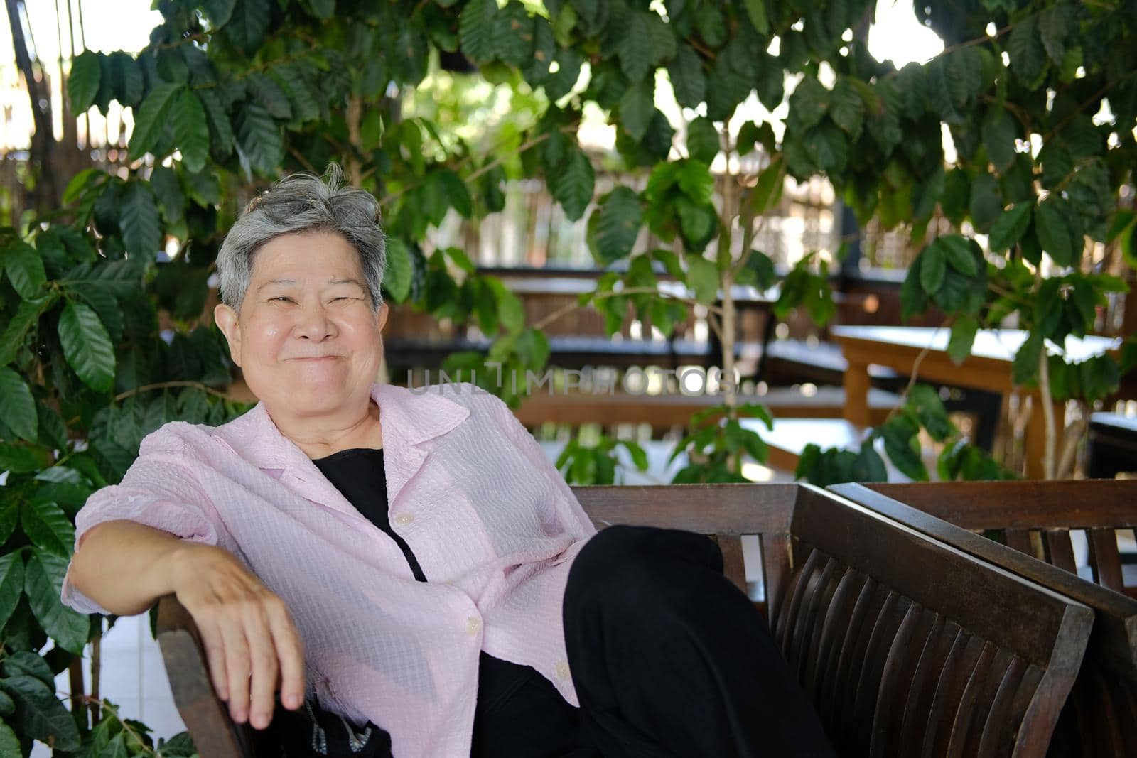 asian old elderly elder woman resting relaxing in garden. senior leisure lifestyle