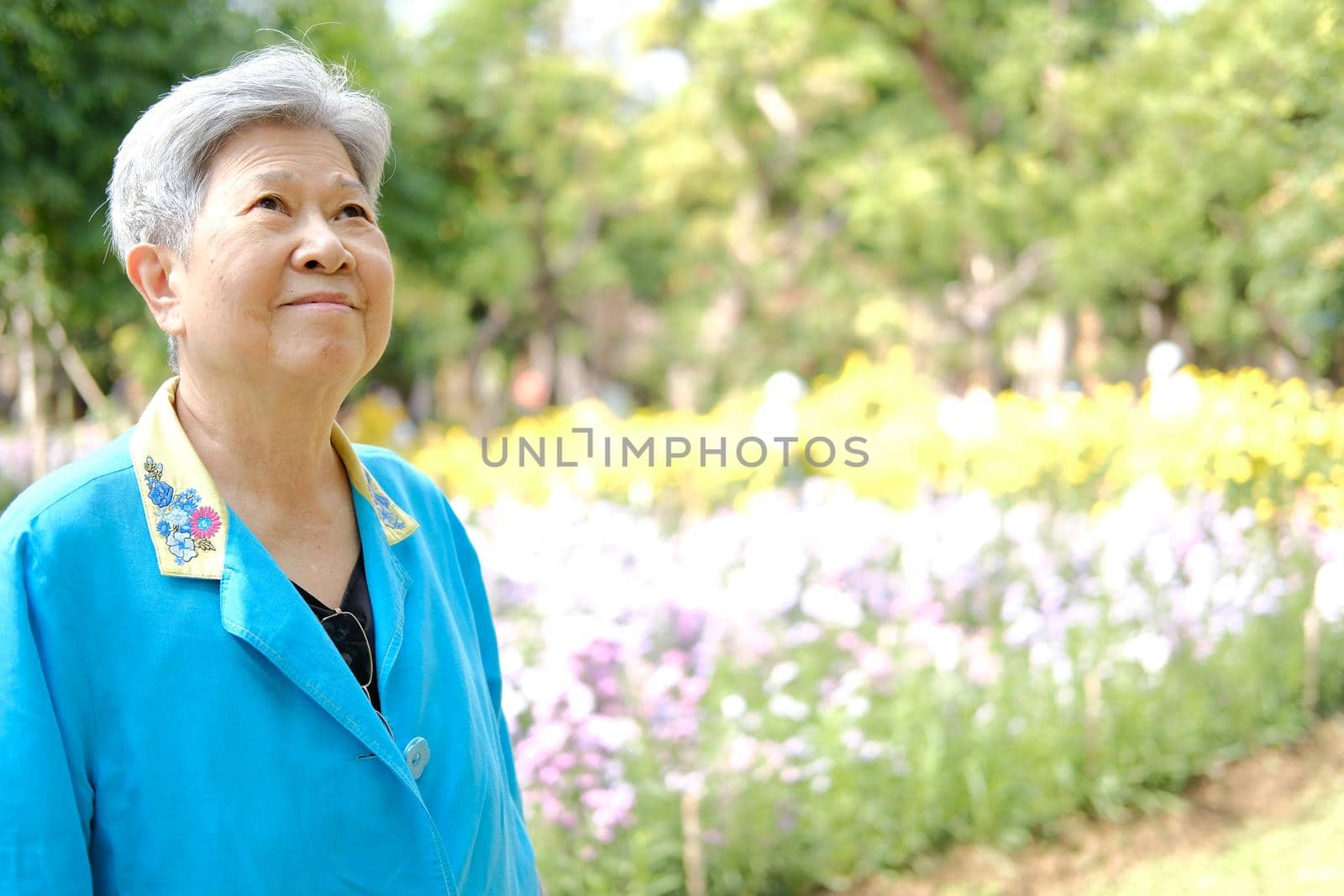 asian old elderly elder woman resting relaxing in flower garden. senior leisure lifestyle