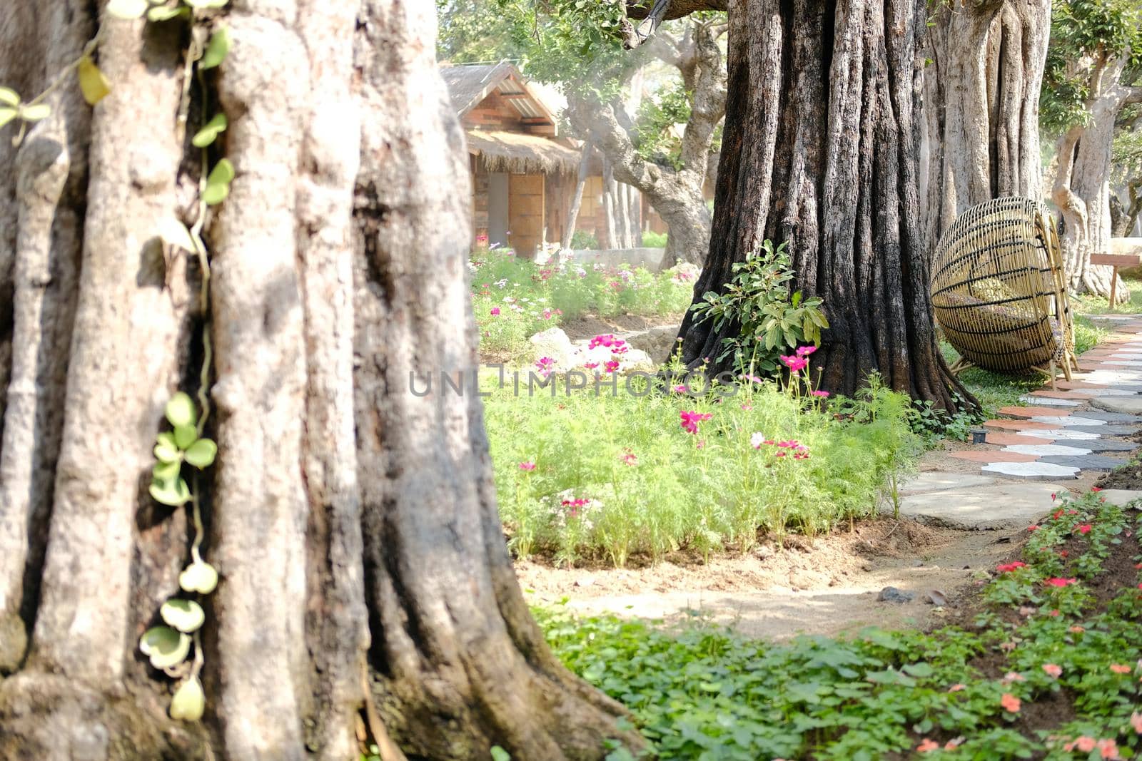 big tree trunk in flower garden park