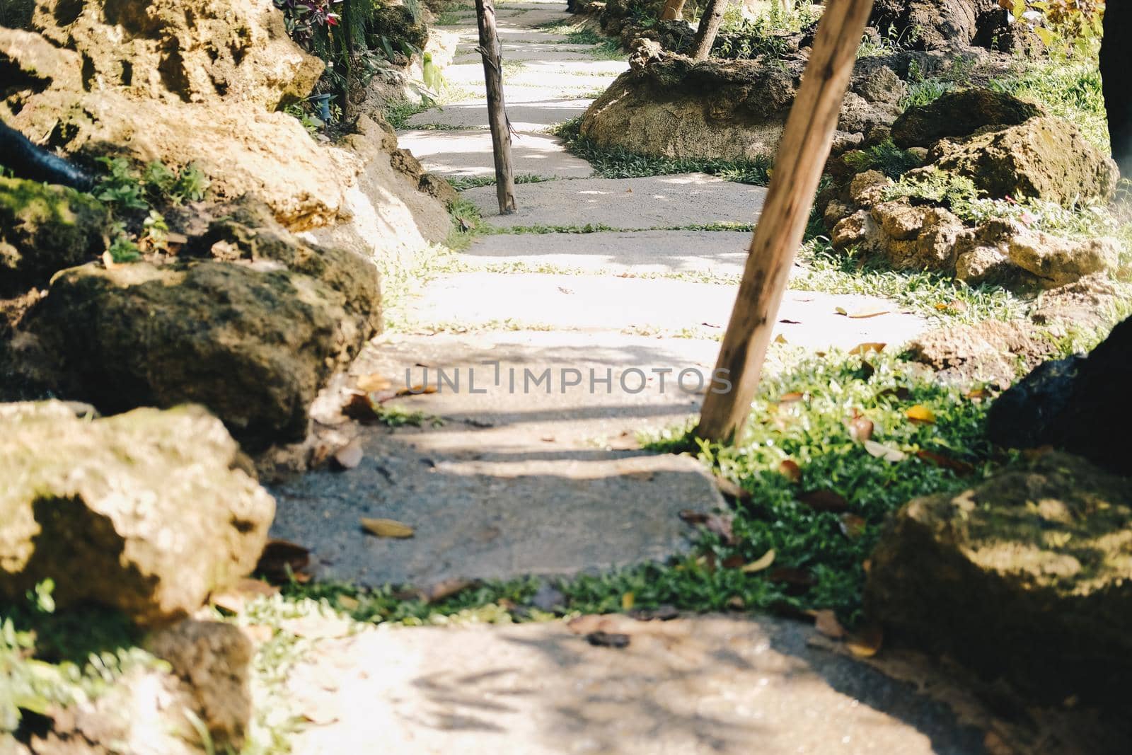 walkway and decorated rock stone garden