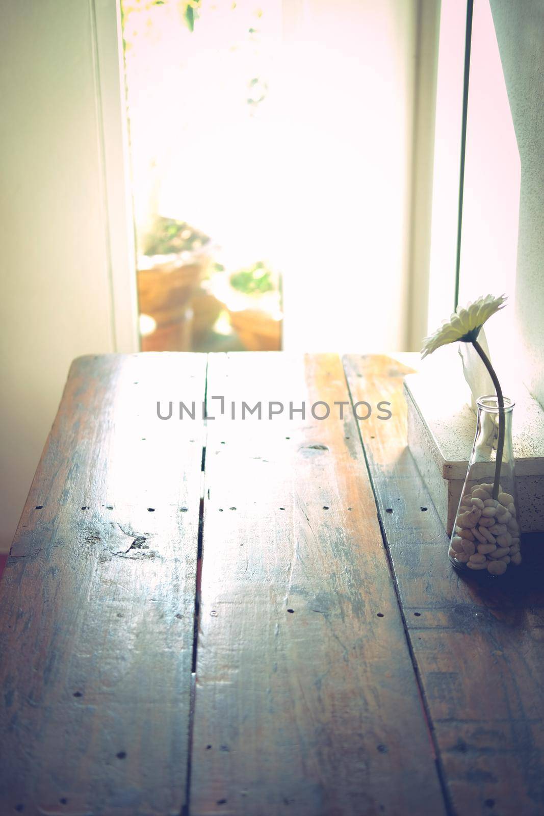 pebble rock stone with gerbera flower decorating on wooden table in living room