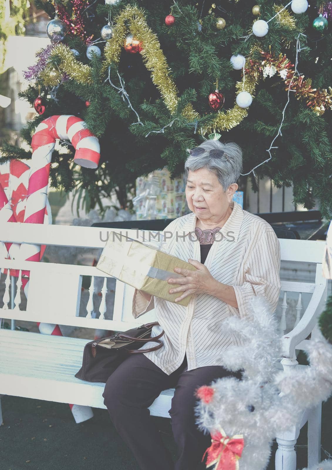 asian old elder woman elderly senior holding gift present box near christmas tree