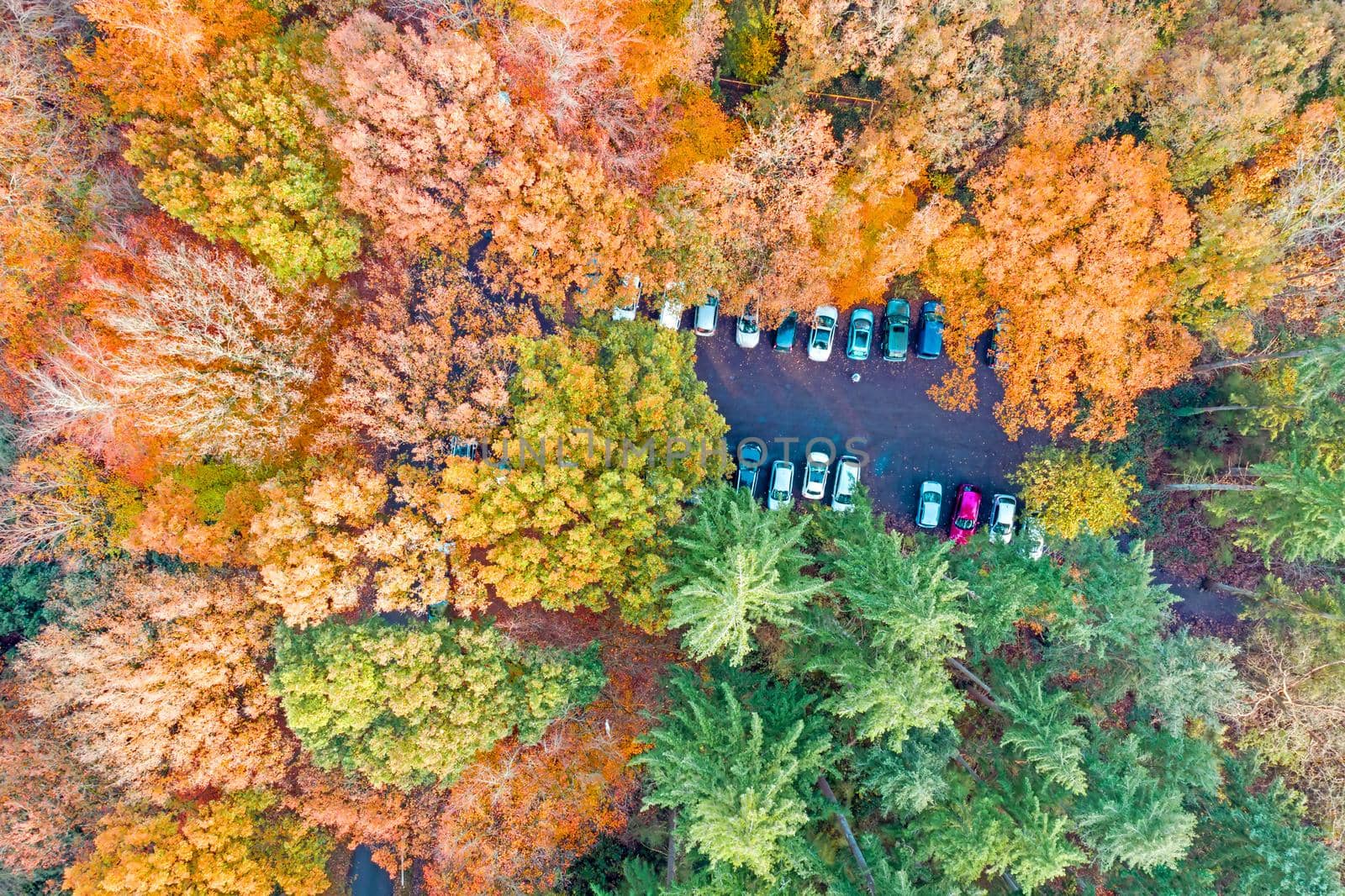 Aerial topshot from a parking in the forest in fall by devy