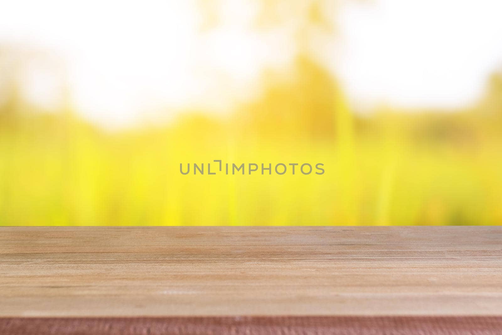 Wood blank table with rice field background.