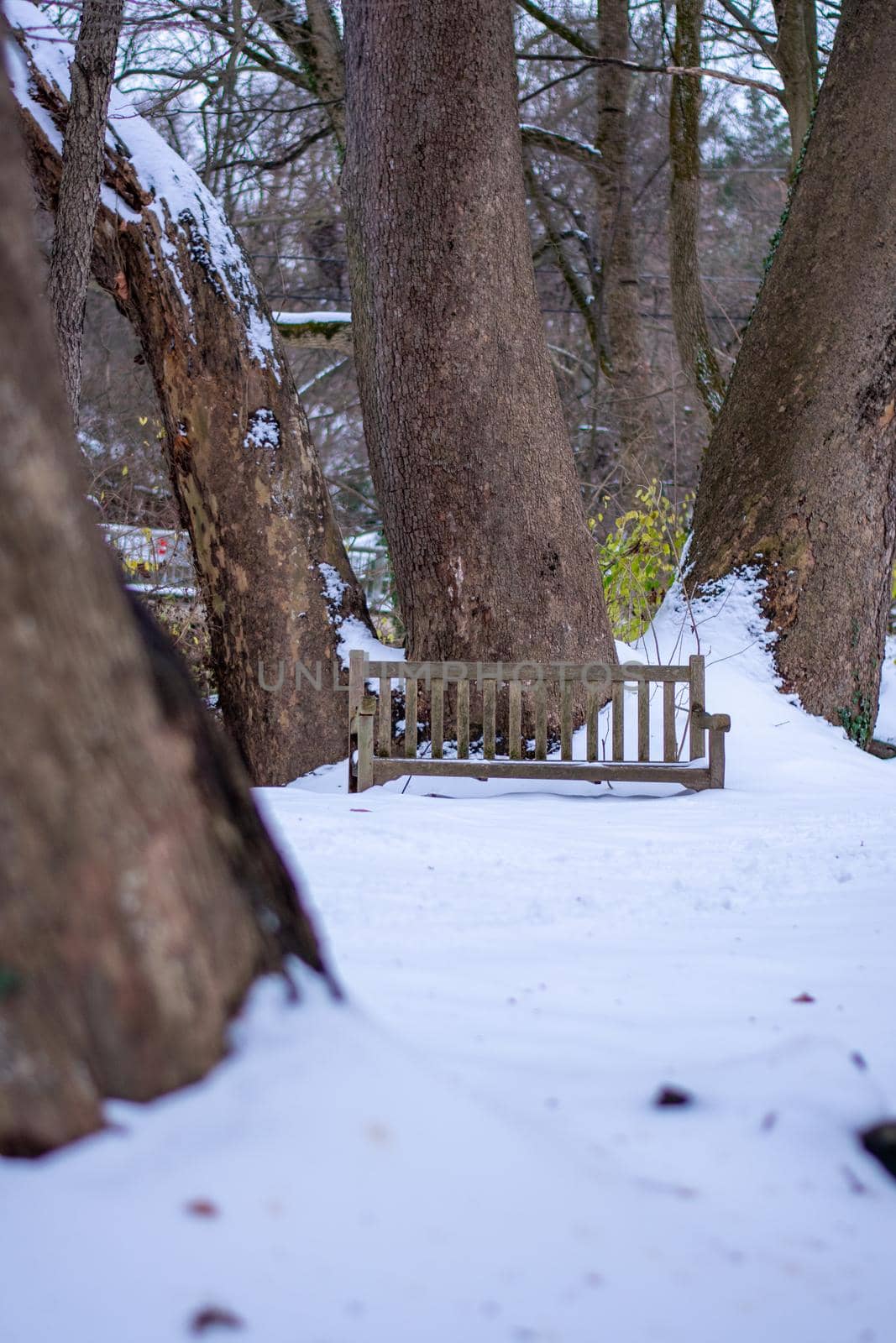 A Wooden Park Bench Next to a Tree In a Park Covered in Snow