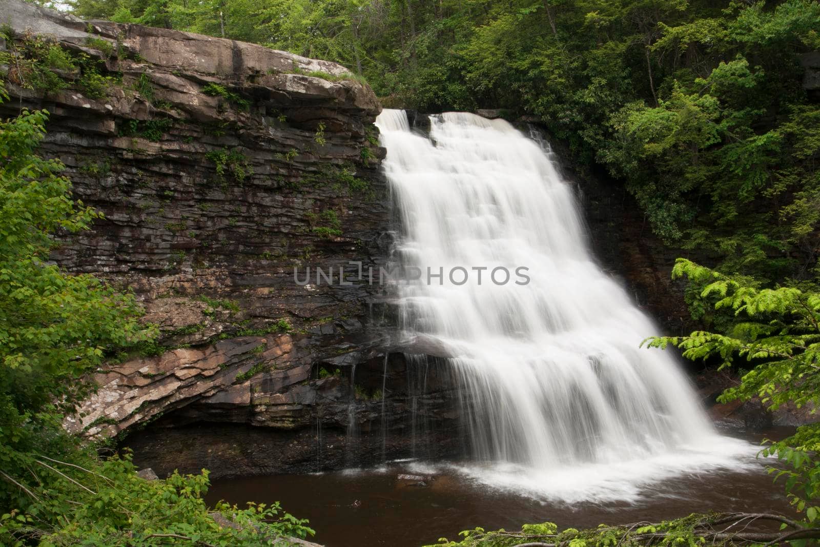 Muddy Creek Falls in Swallow Falls State Park in Maryland