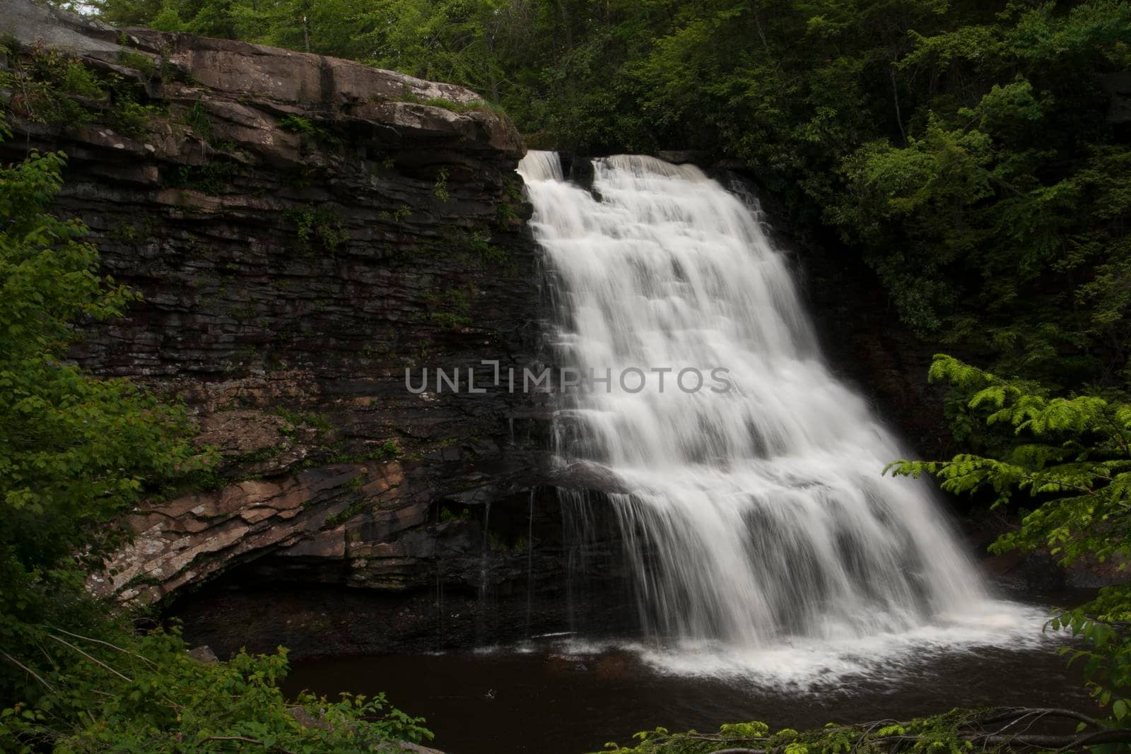 Muddy Creek Falls in Swallow Falls State Park in Maryland