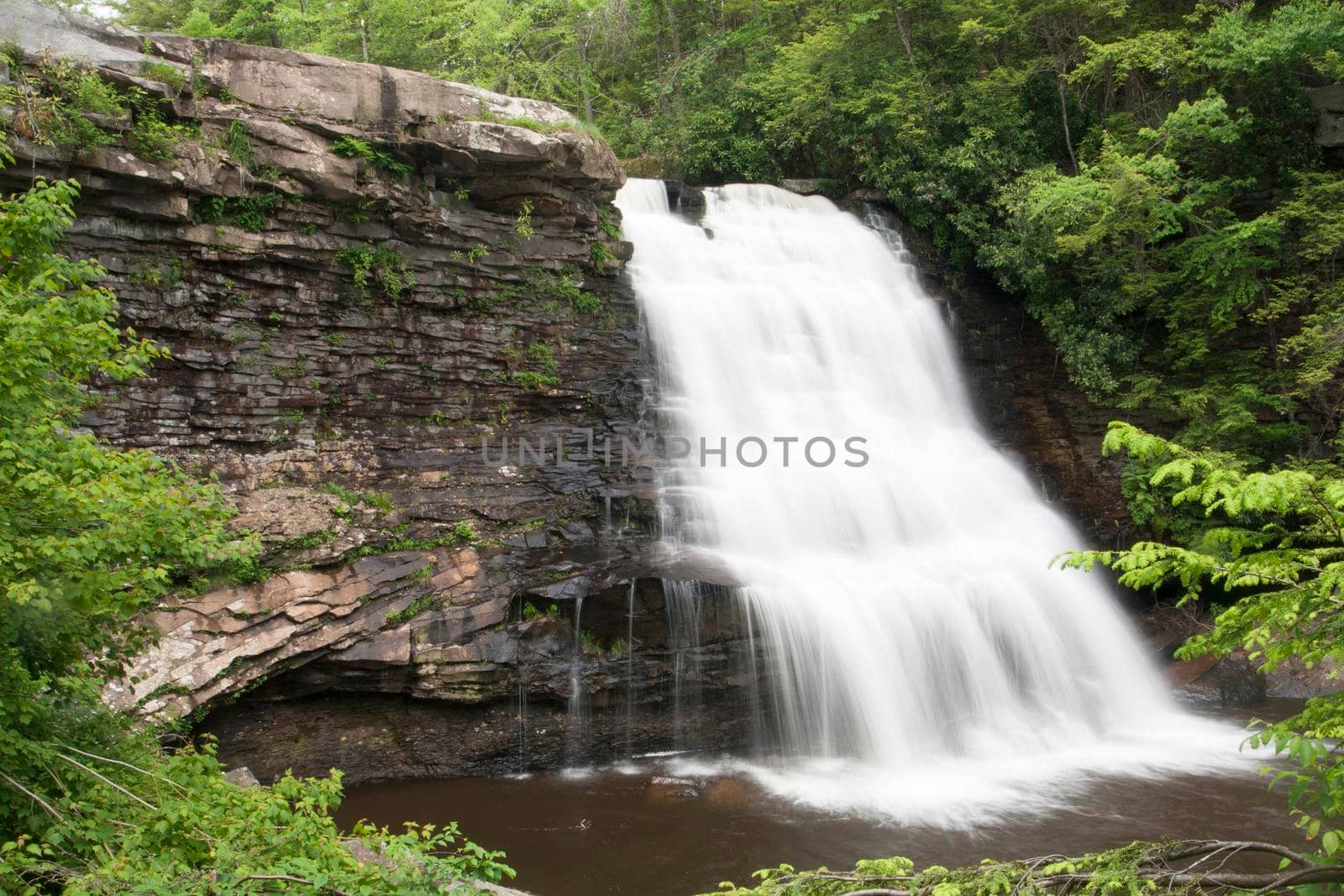 Muddy Creek Falls in Swallow Falls State Park in Maryland