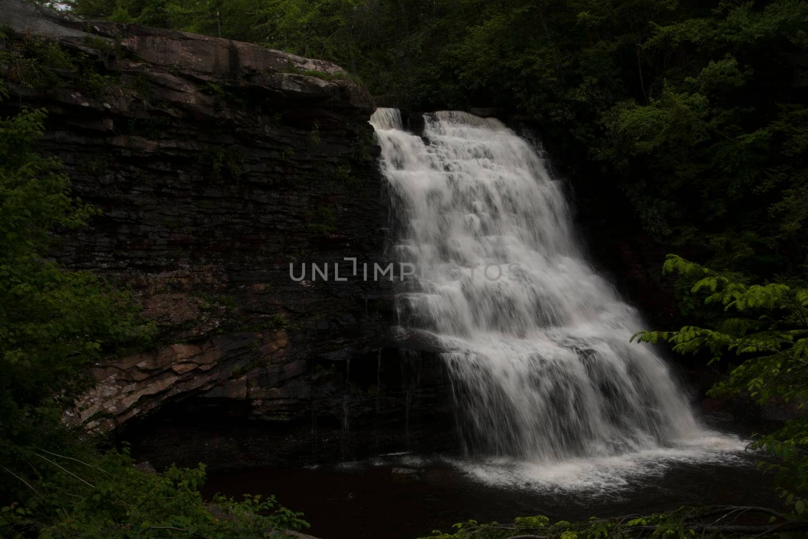 Muddy Creek Falls in Swallow Falls State Park in Maryland