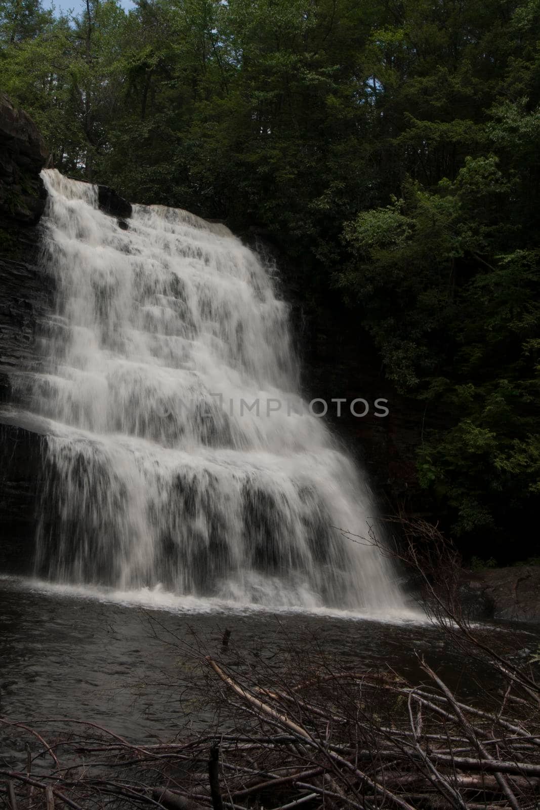 Muddy Creek Falls in Swallow Falls State Park in Maryland