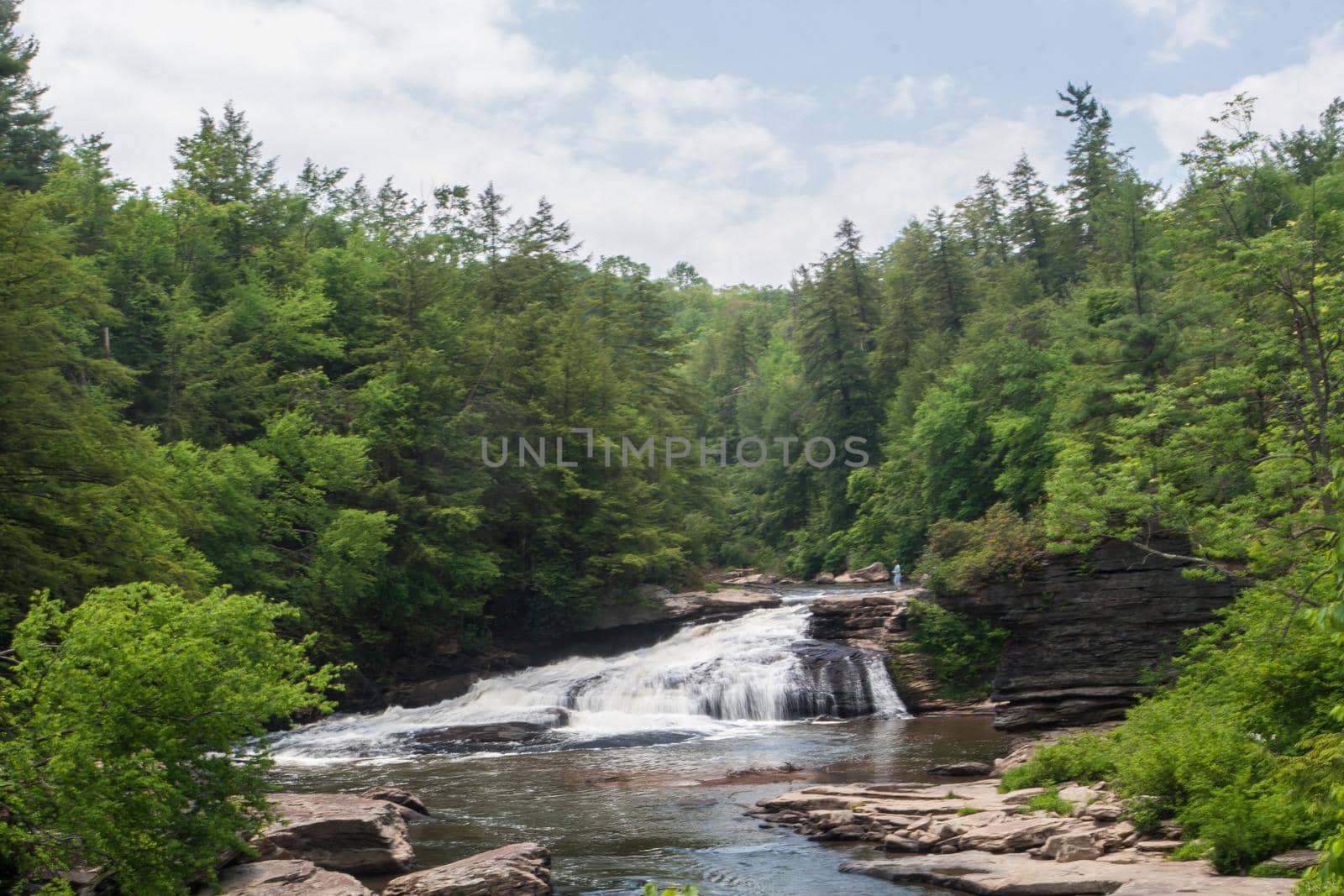 Swallow Falls in Swallow Falls State Park of Maryland
