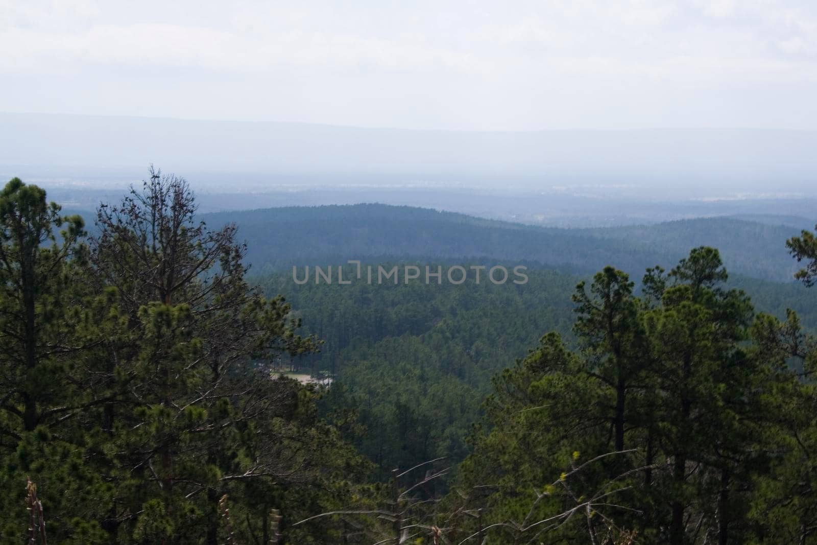 The Ouachita Mountains seen from the Talimena Scenic Drive in southeast Oklahoma