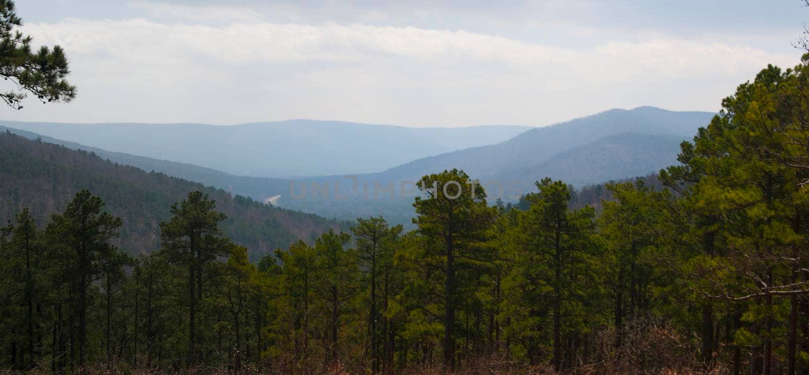 The Ouachita Mountains seen from the Talimena Scenic Drive in southeast Oklahoma