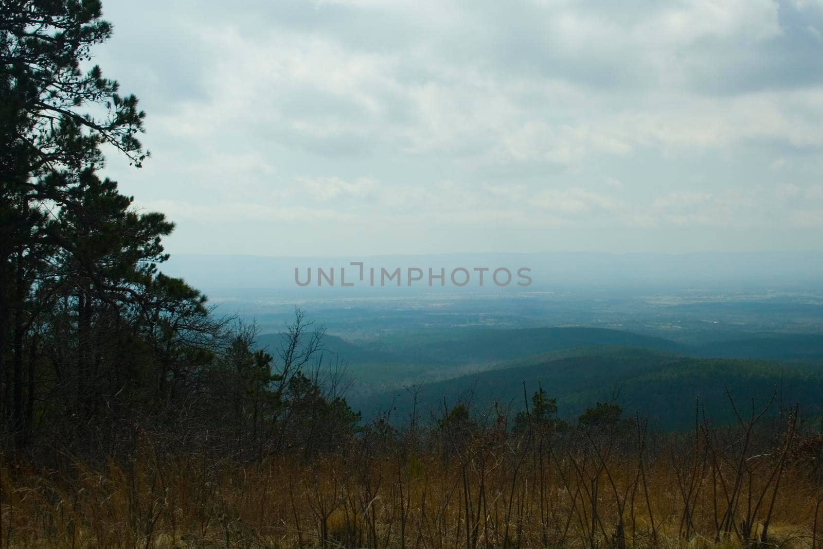 The Ouachita Mountains seen from the Talimena Scenic Drive in southeast Oklahoma
