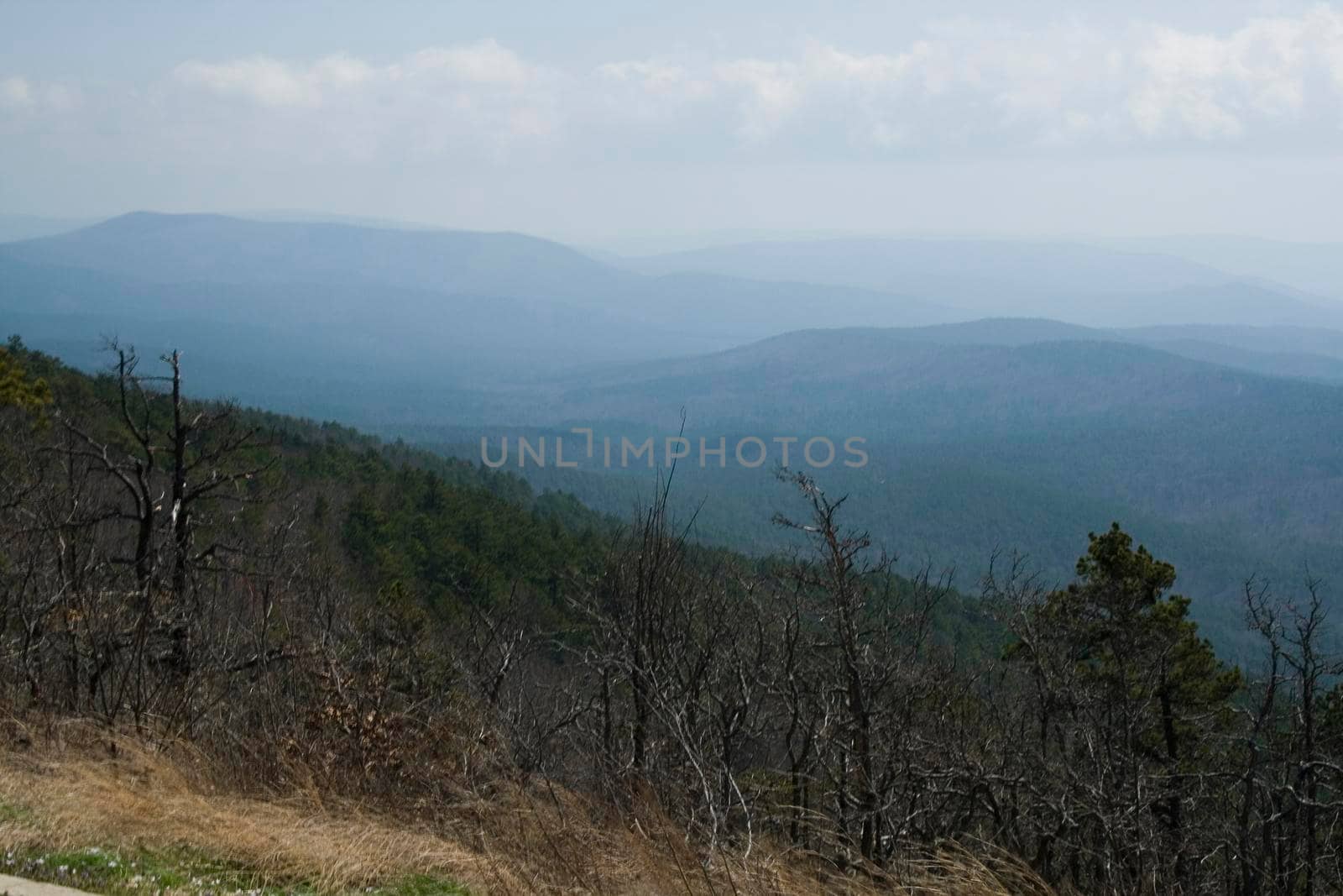 The Ouachita Mountains seen from the Talimena Scenic Drive in southeast Oklahoma