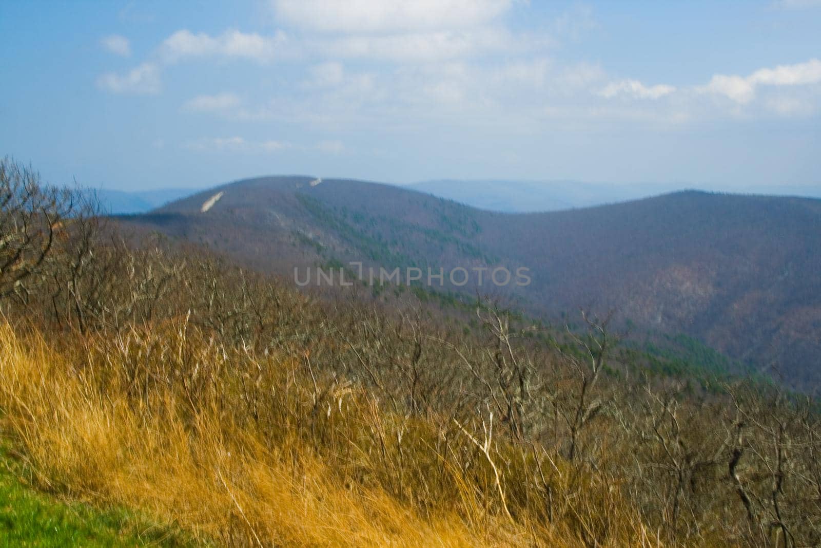 The Ouachita Mountains seen from the Talimena Scenic Drive in southeast Oklahoma