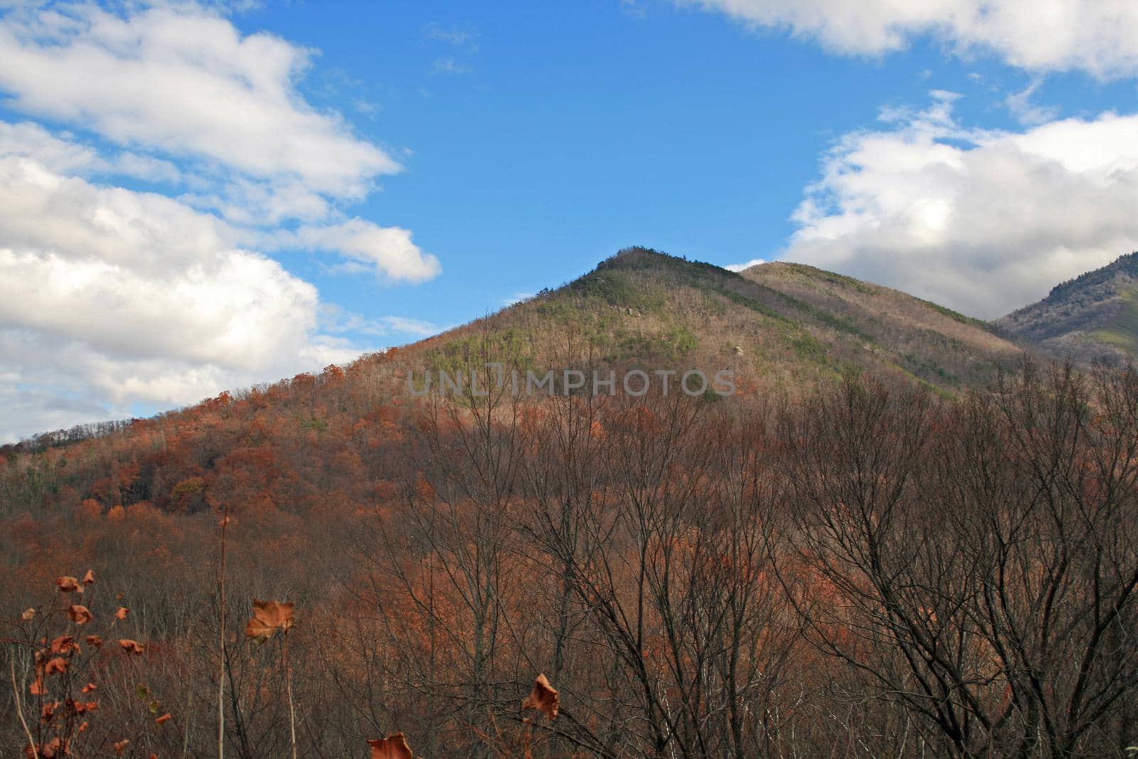Views seen in the Great Smoky Mountains National Park in Tennessee