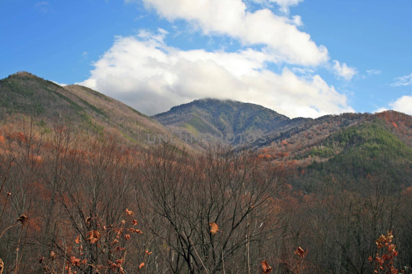 Views seen in the Great Smoky Mountains National Park in Tennessee