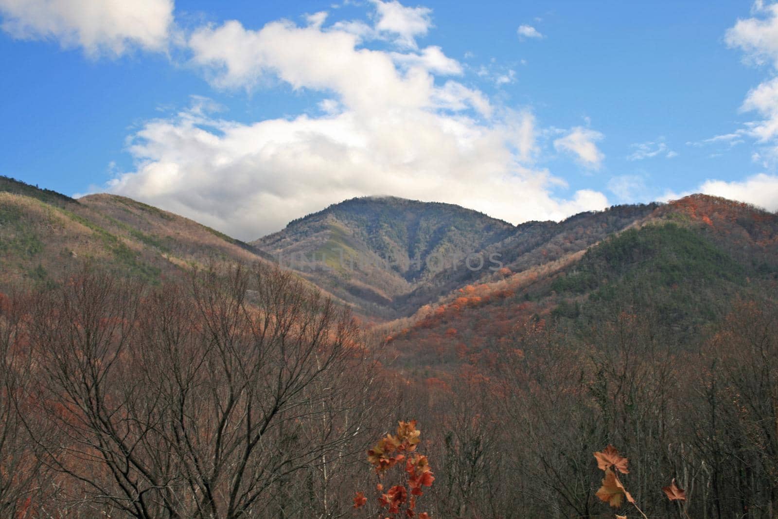 Views seen in the Great Smoky Mountains National Park in Tennessee
