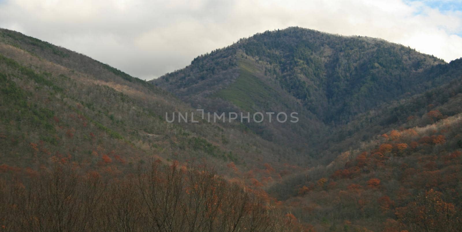 Views seen in the Great Smoky Mountains National Park in Tennessee