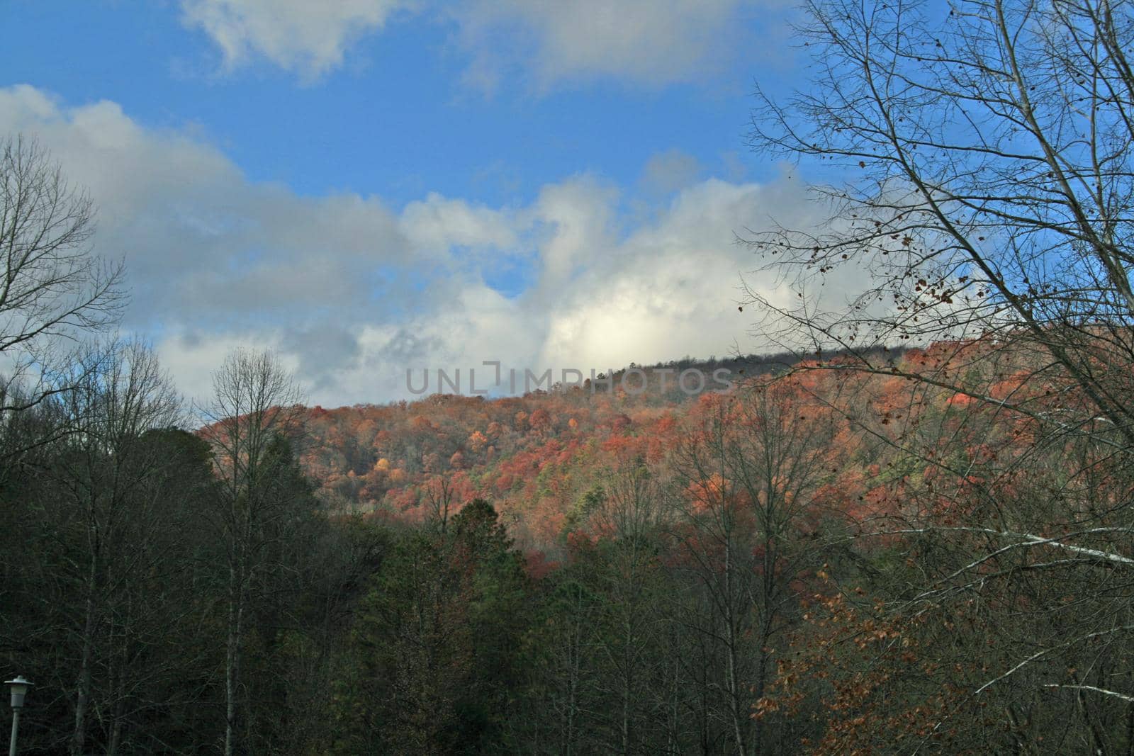Views seen in the Great Smoky Mountains National Park in Tennessee
