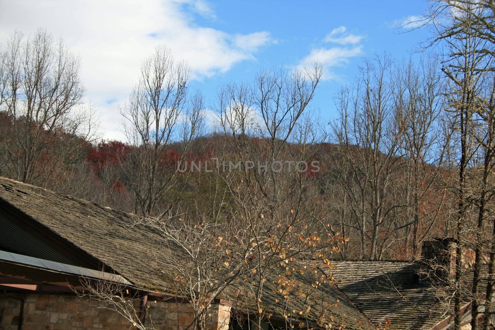 Views seen in the Great Smoky Mountains National Park in Tennessee