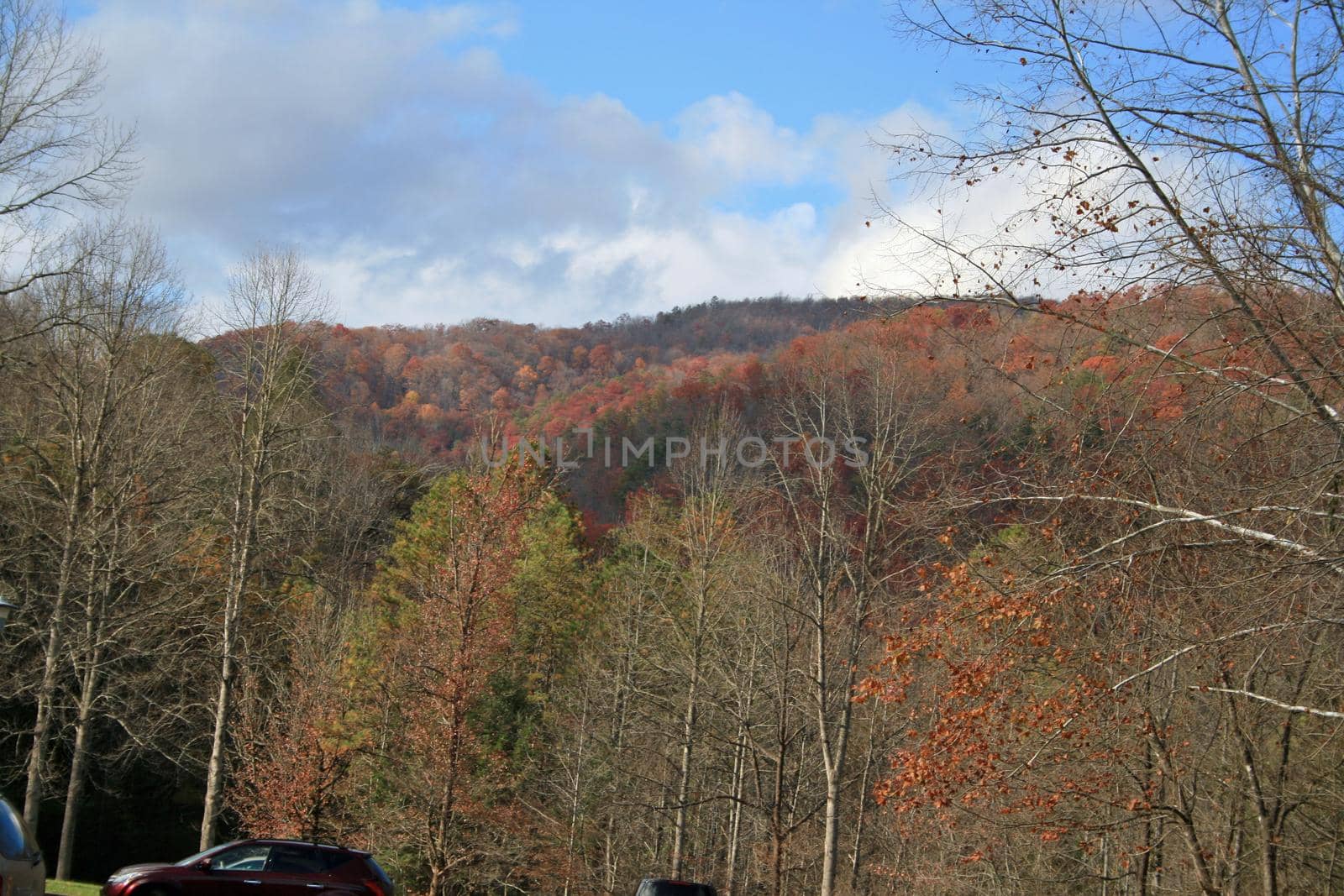 Views seen in the Great Smoky Mountains National Park in Tennessee
