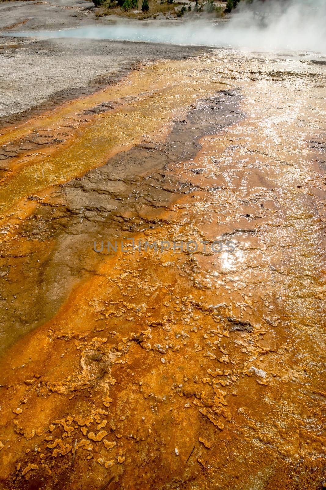hot thermal springs in yeallostone national park wyoming by digidreamgrafix