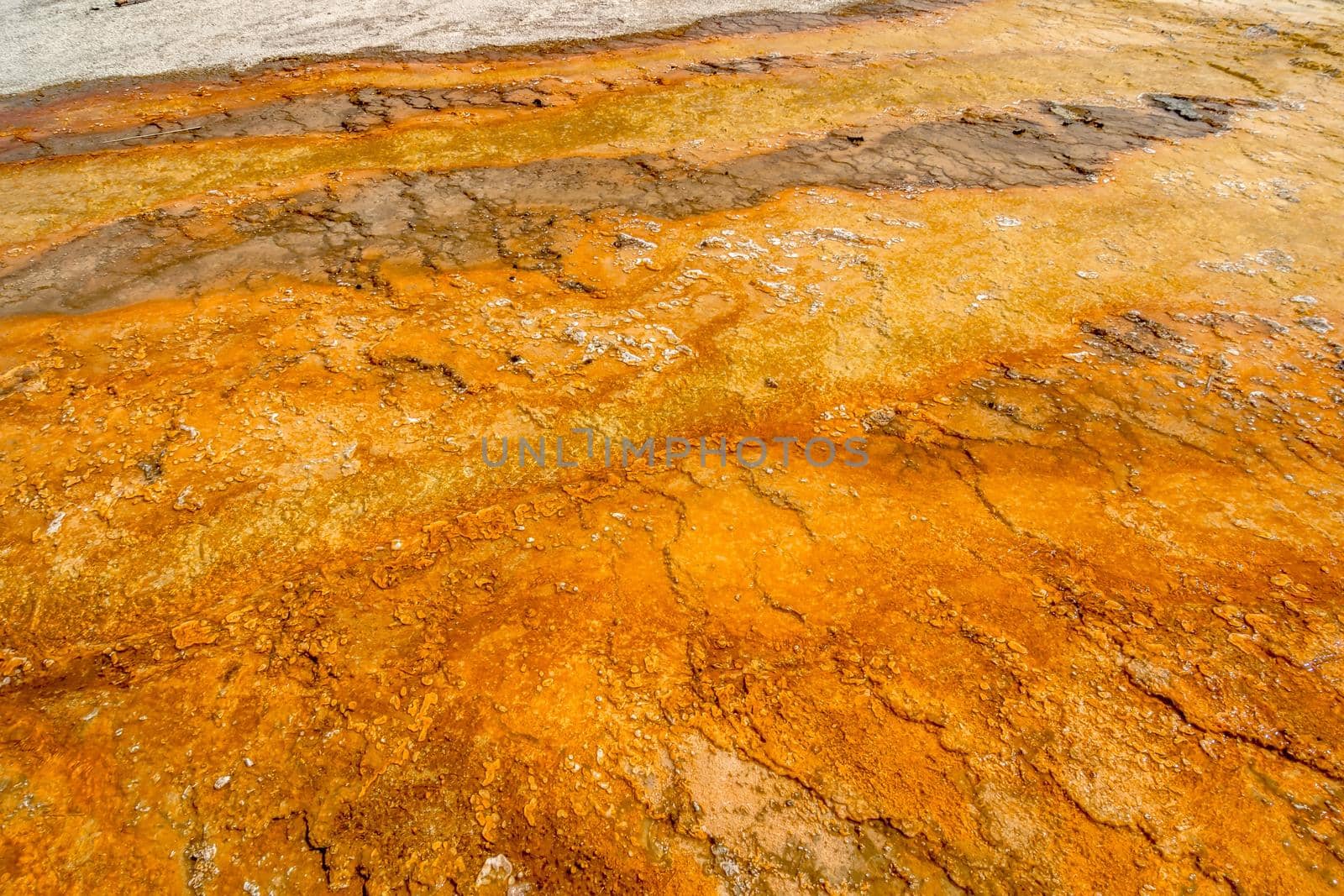 hot thermal springs in yeallostone national park wyoming by digidreamgrafix