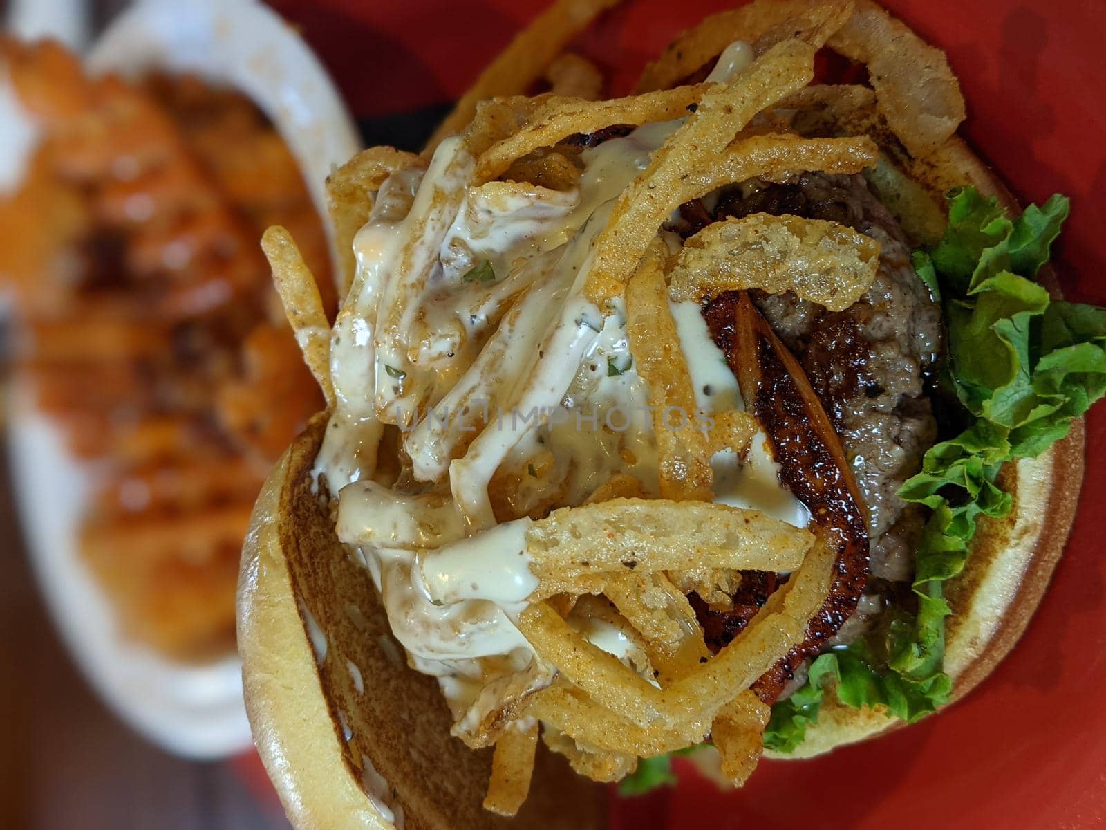 grilled bison meat burger sandwich and sweet potato waffle fries