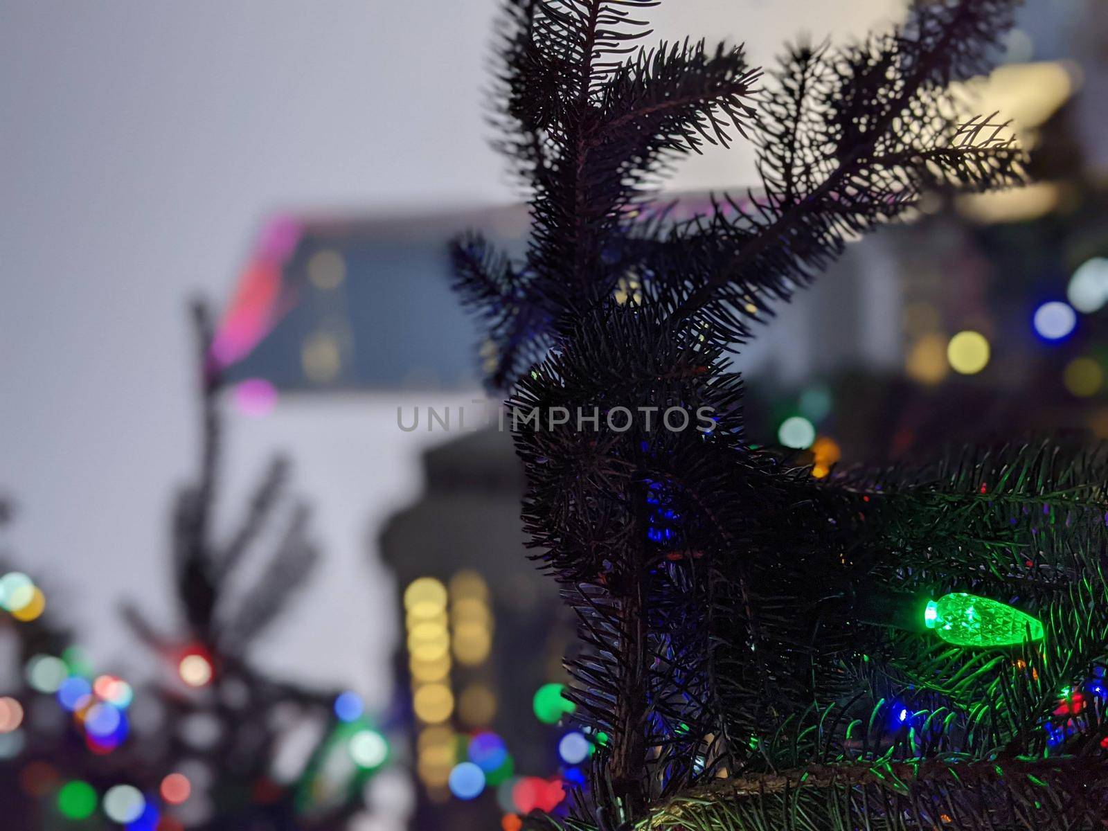 uptown charlotte north carolina usa early morning