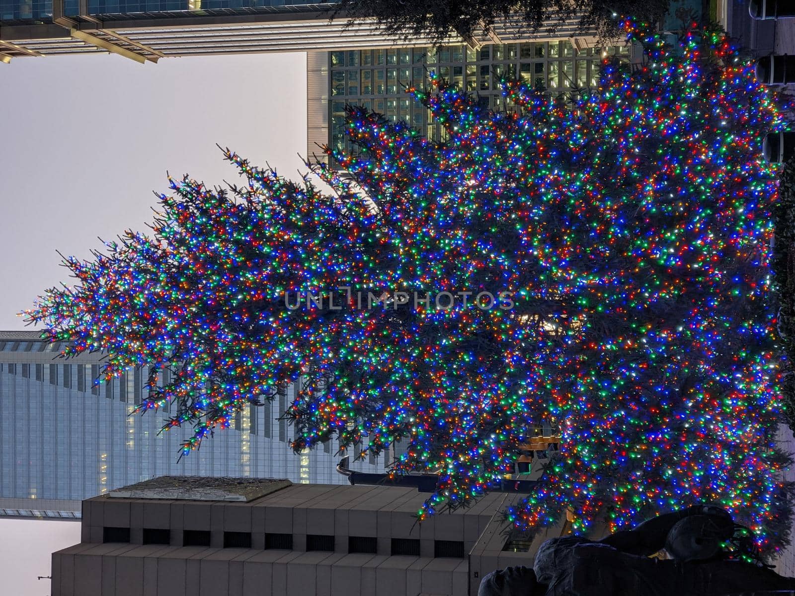 uptown charlotte north carolina usa early morning by digidreamgrafix