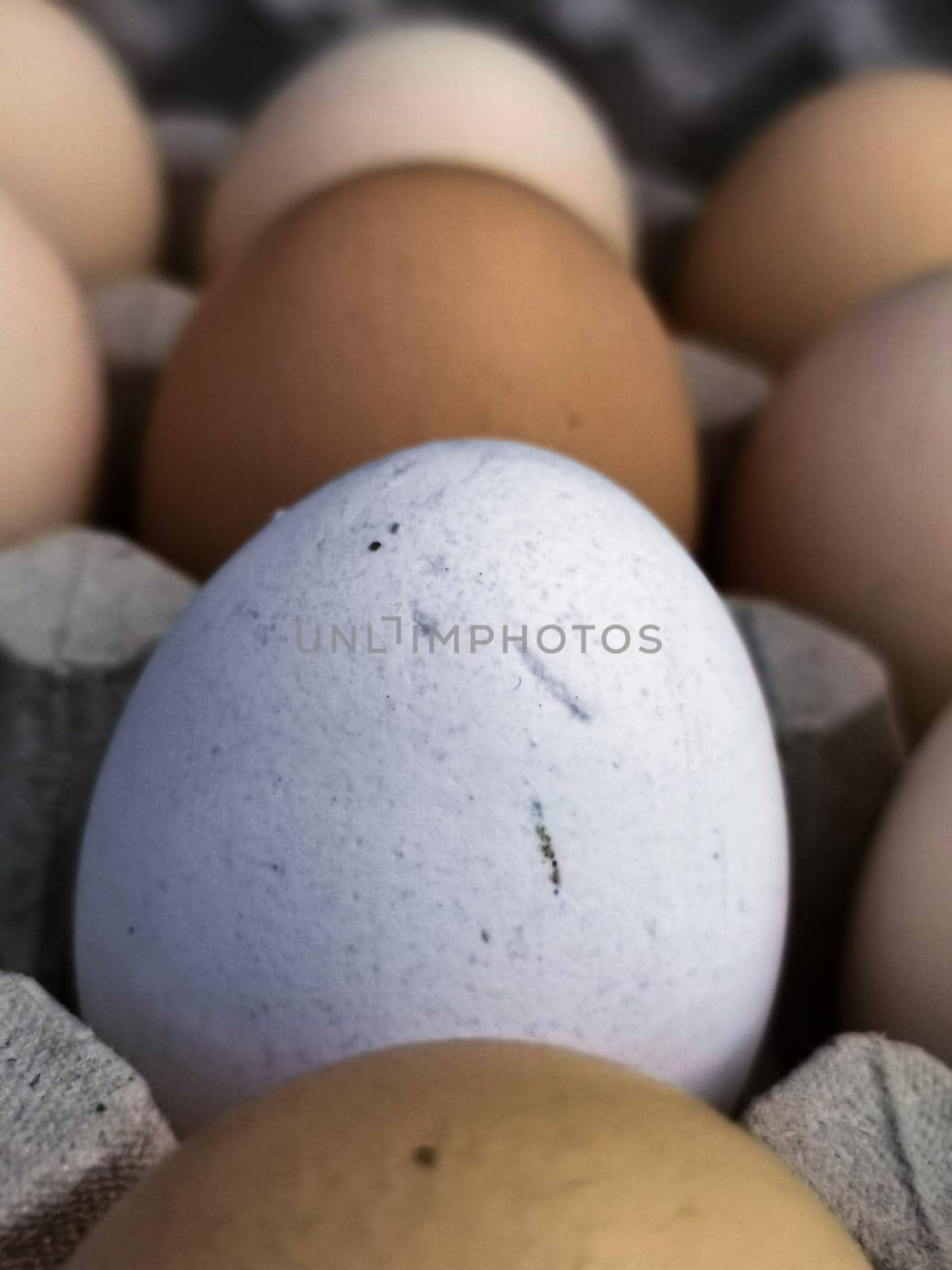 Selective focus vertical shot of chicken eggs in an egg carton