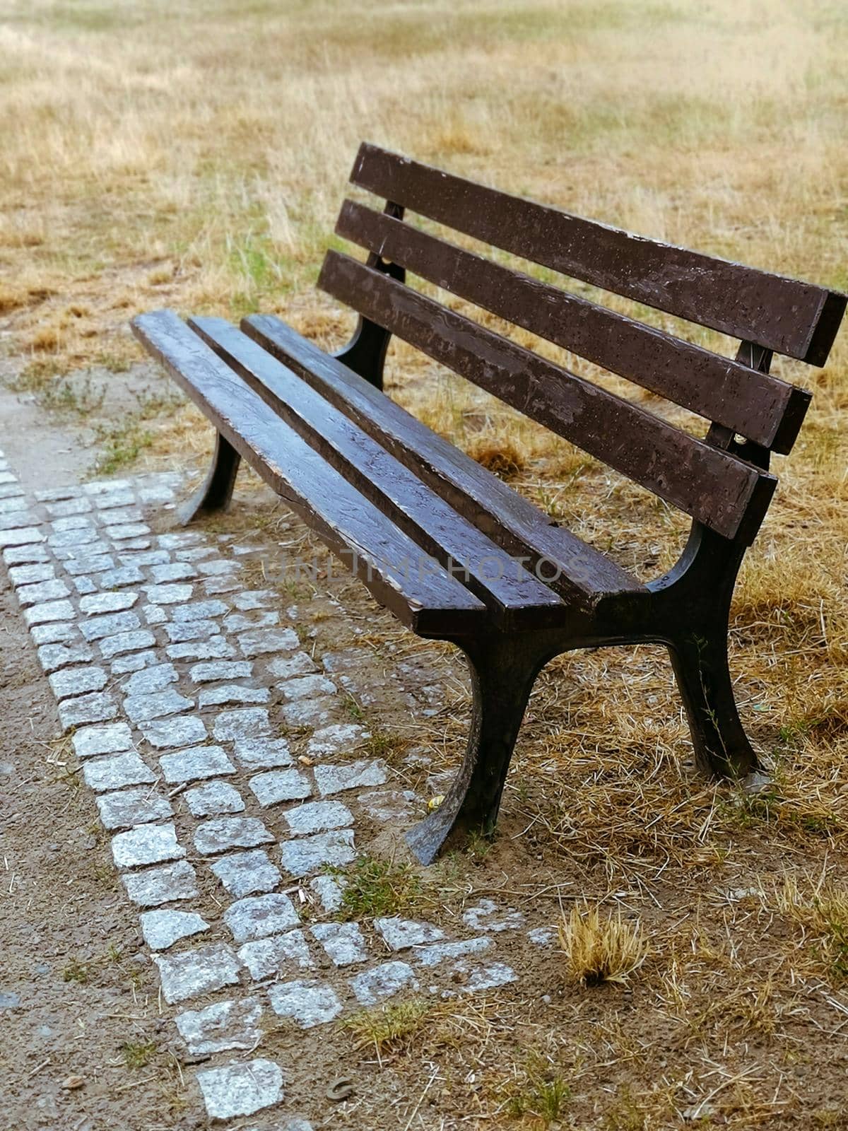 Vertical shot of an empty wooden bench on a dry grass-covered ground