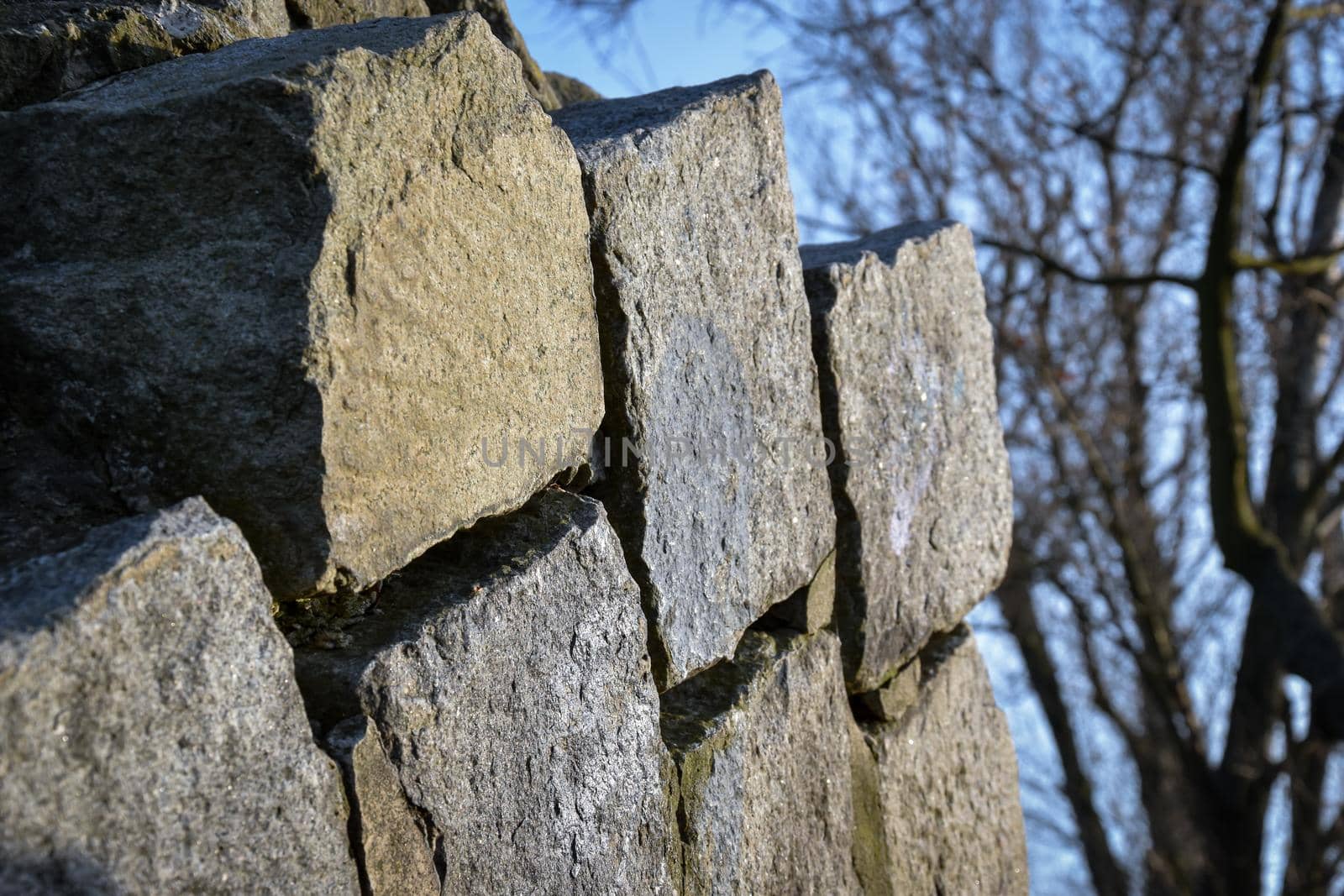 Closeup shot of an irregular stone-made wall with a tree in the background