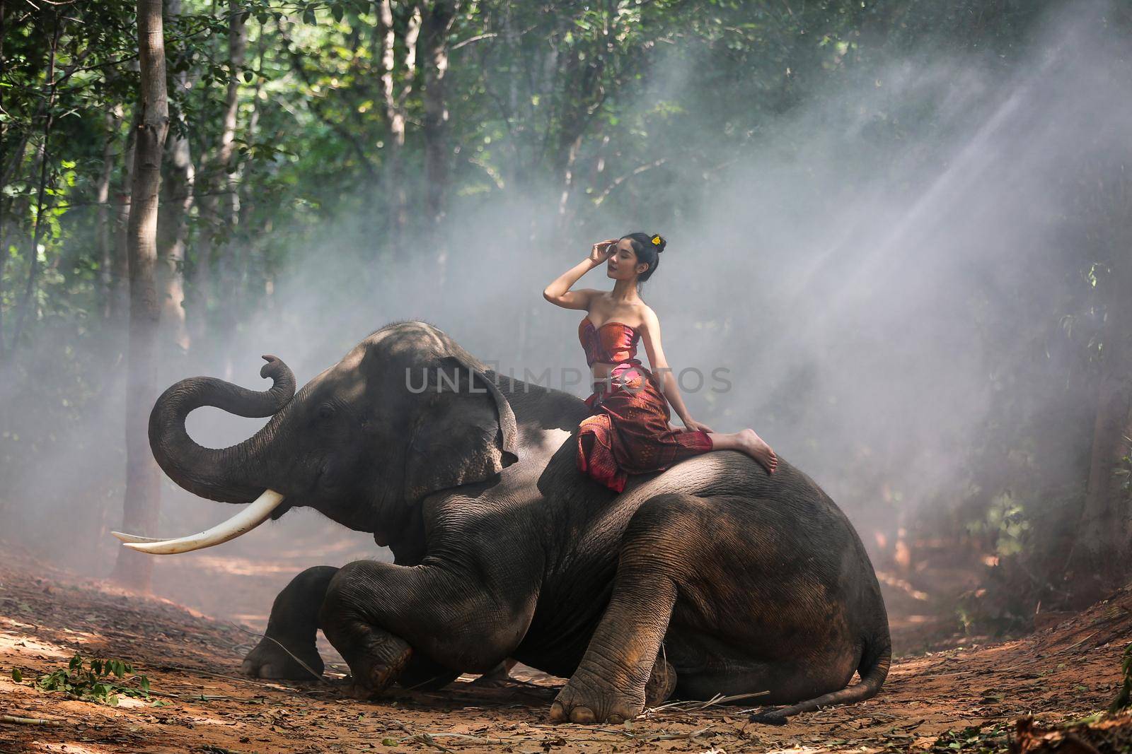 Thailand Countryside; Silhouette elephant on the background of sunset, elephant Thai in Surin Thailand. by chuanchai