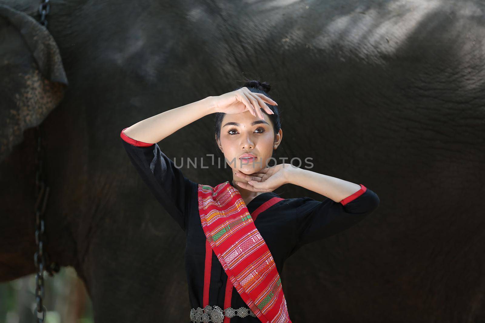 Thailand Countryside; Silhouette elephant on the background of sunset, elephant Thai in Surin Thailand. by chuanchai